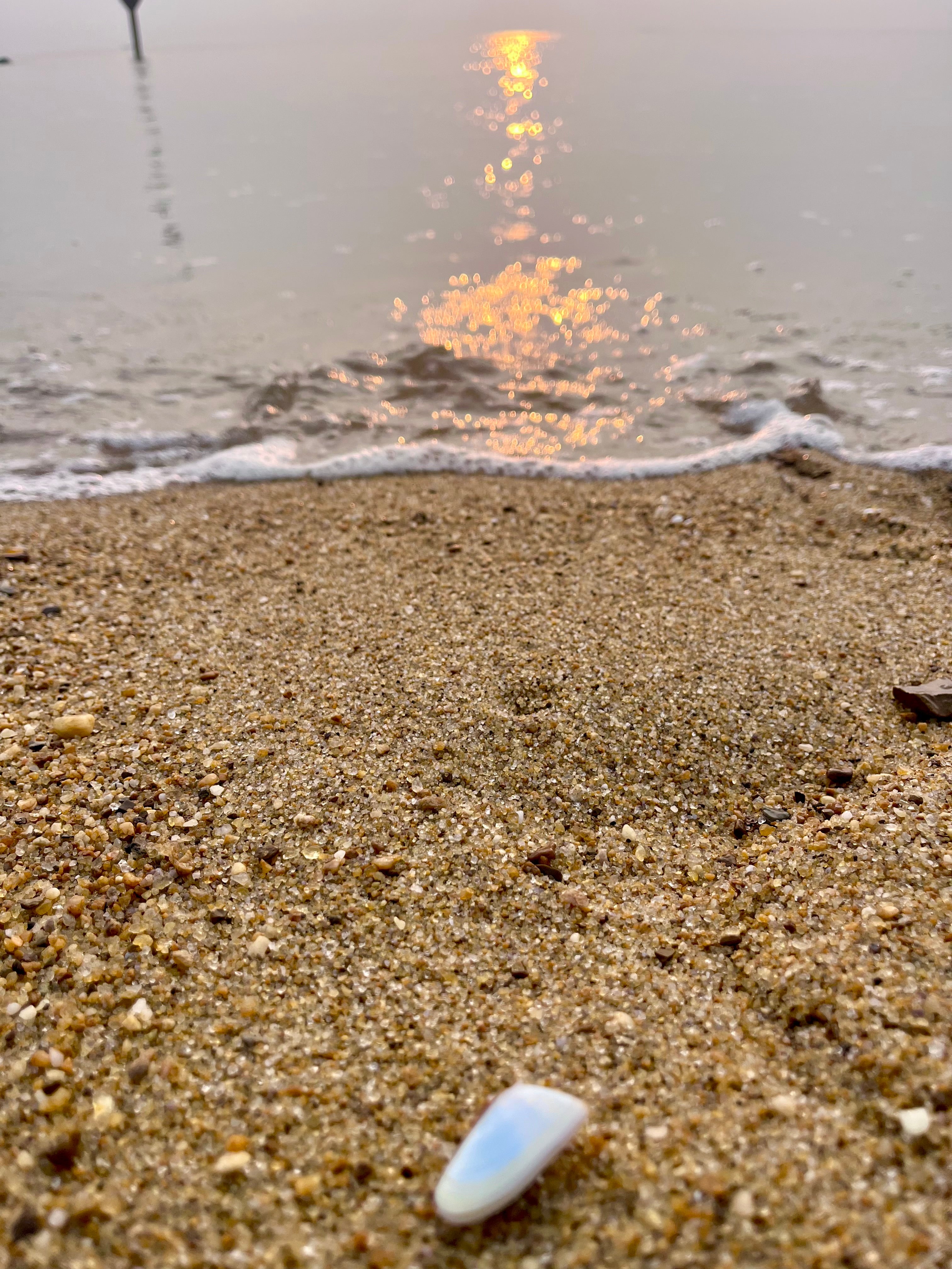 🐚 Tides & Treasures