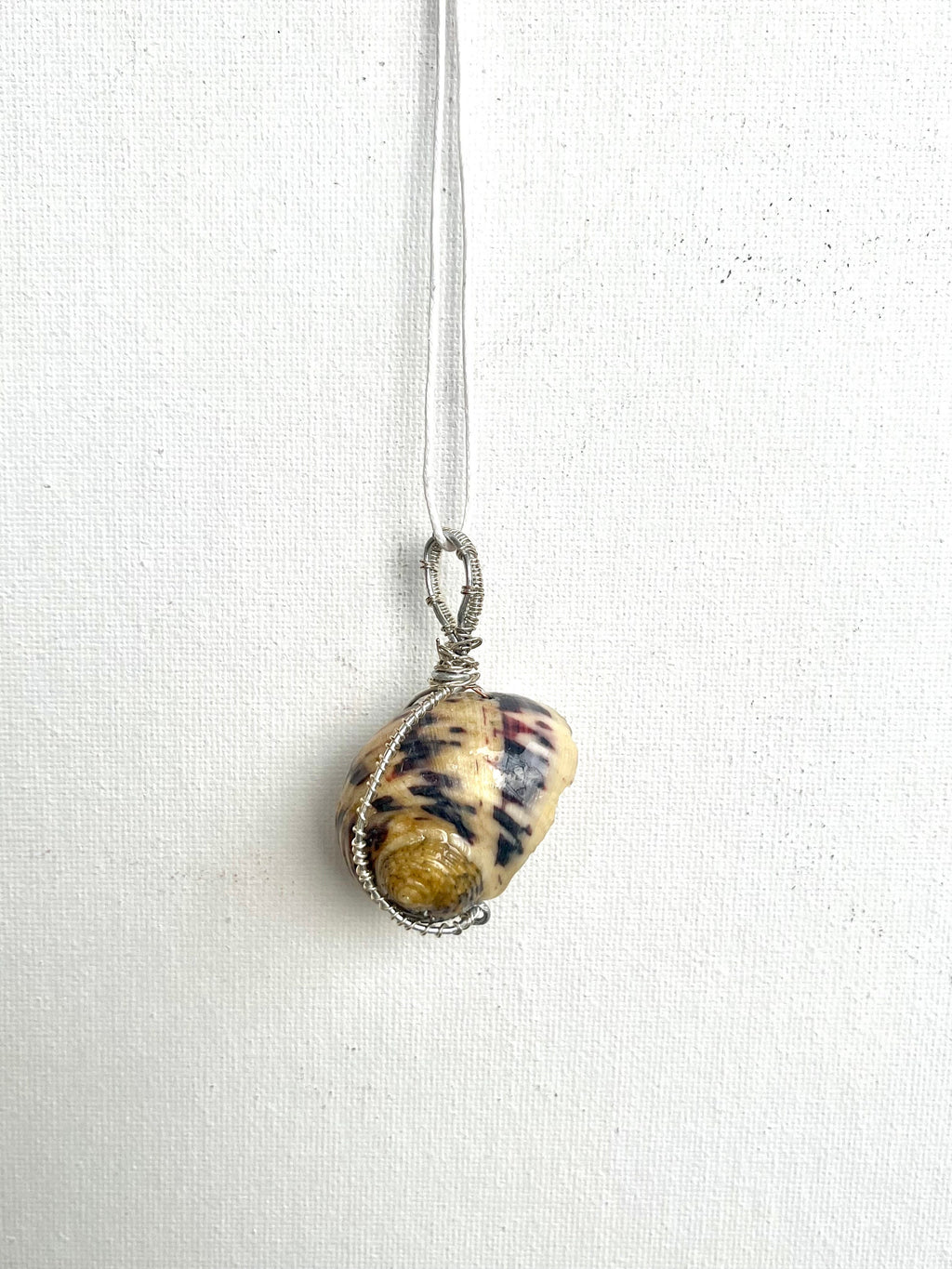 Wire Wrapped Shell Necklace | Turban Seashell Pendant