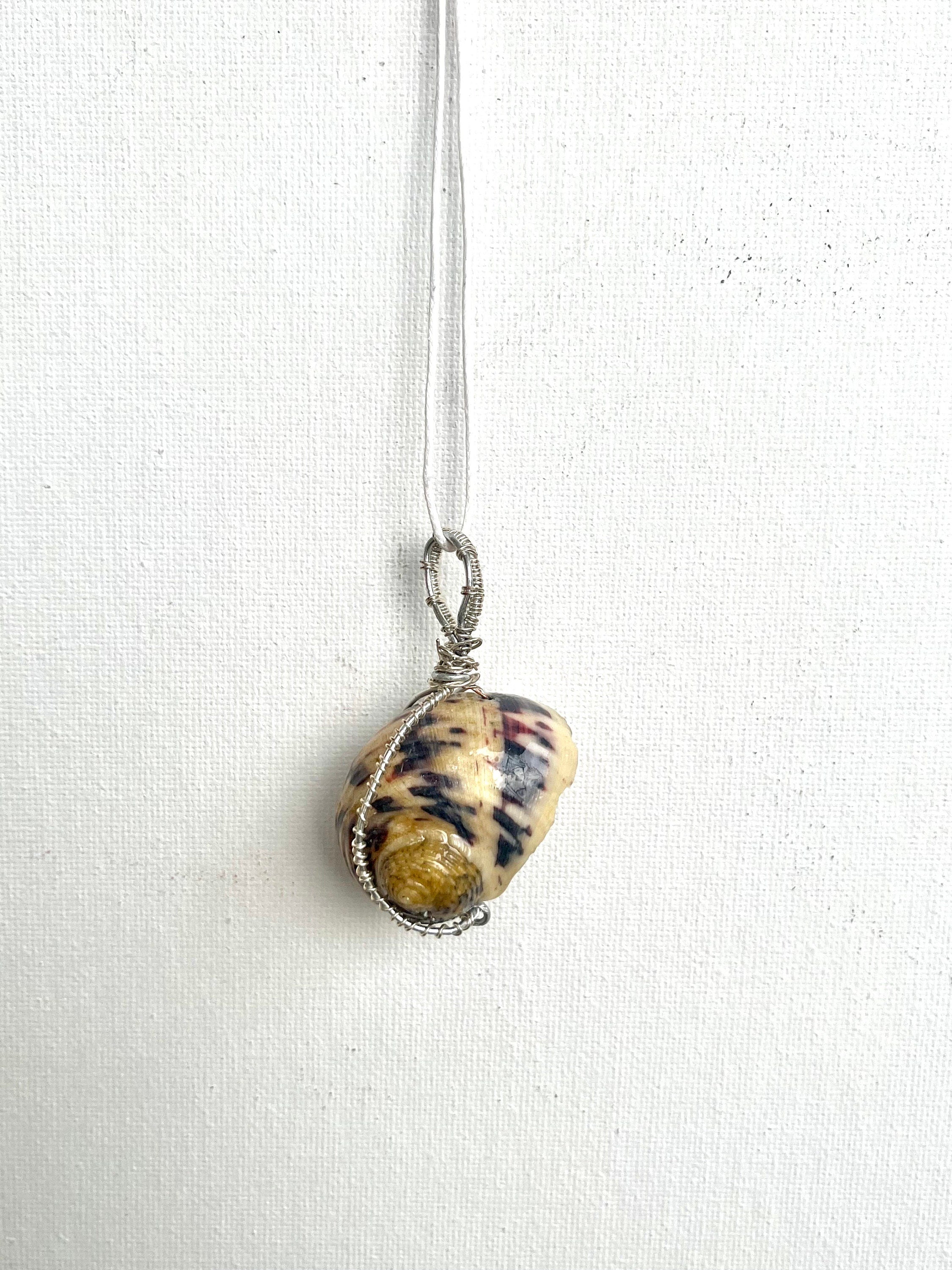 Wire Wrapped Shell Necklace | Turban Seashell Pendant