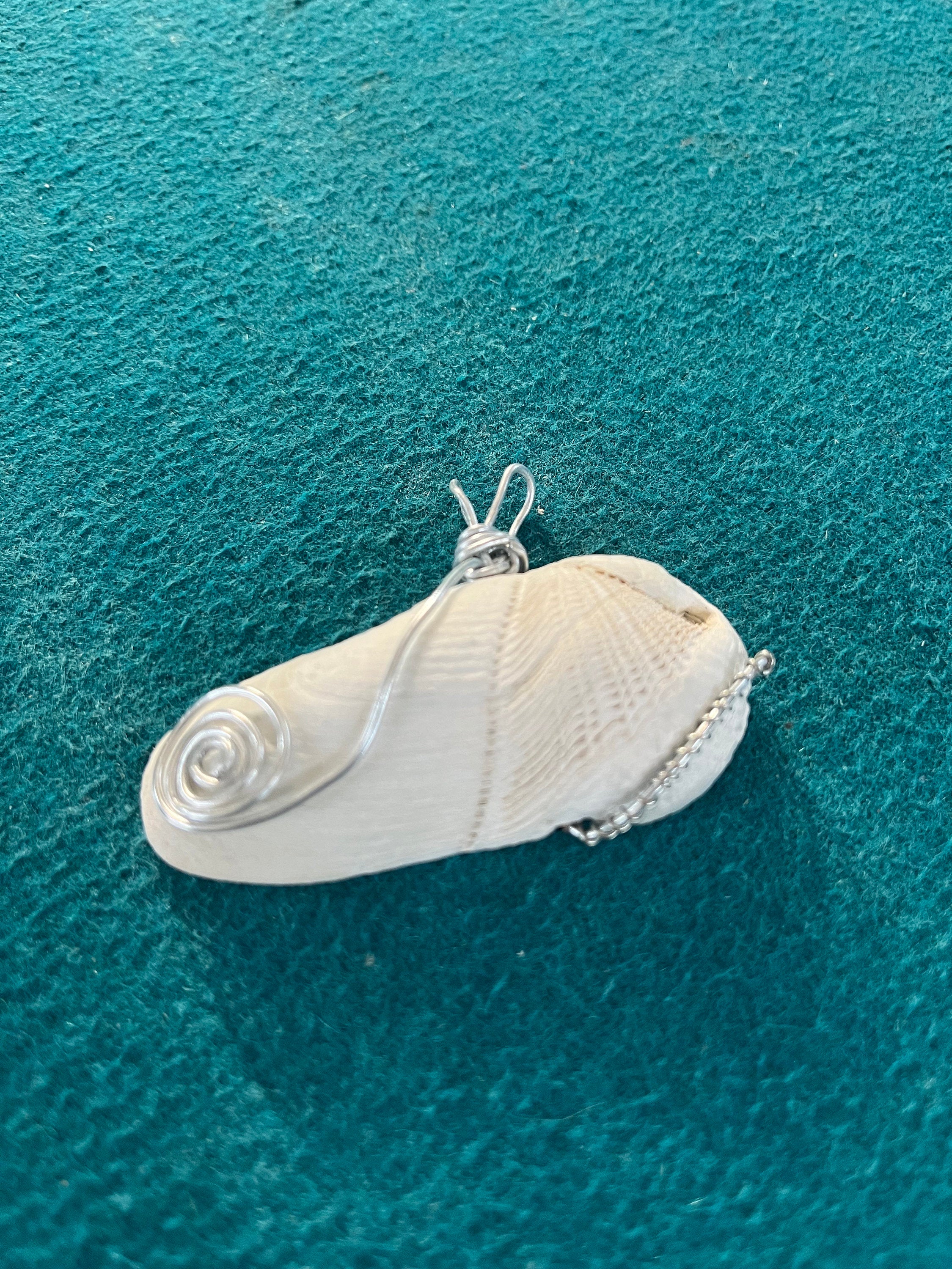 Dual Nature Shell Pendant | Split Tide Pattern Seashell Necklace