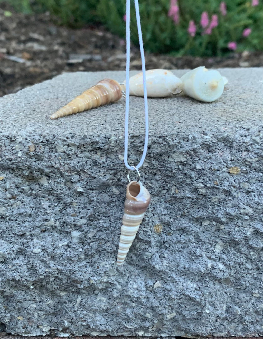Seashell Necklace | Resin Coated Auger Shell Pendant