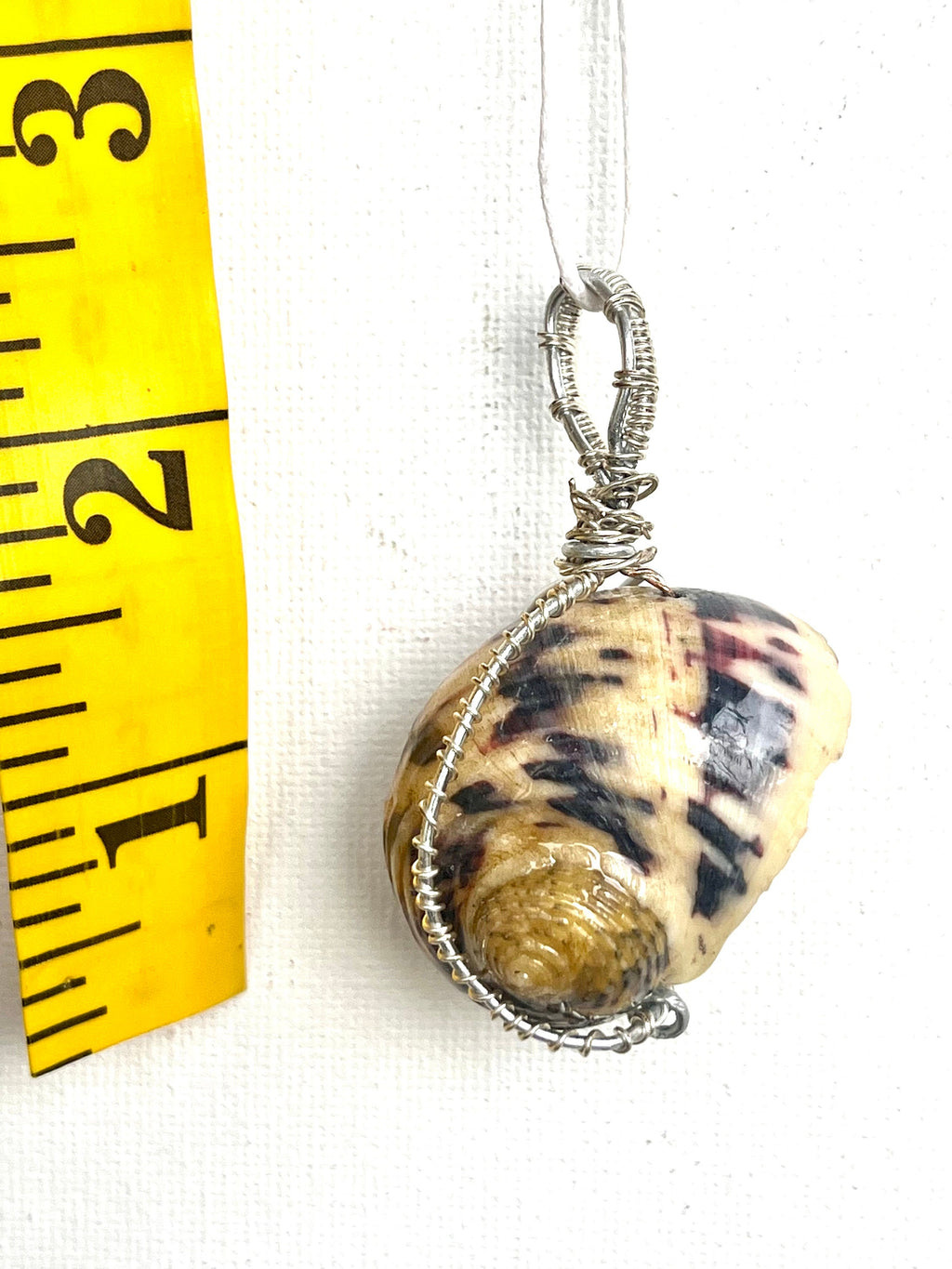 Wire Wrapped Shell Necklace | Turban Seashell Pendant