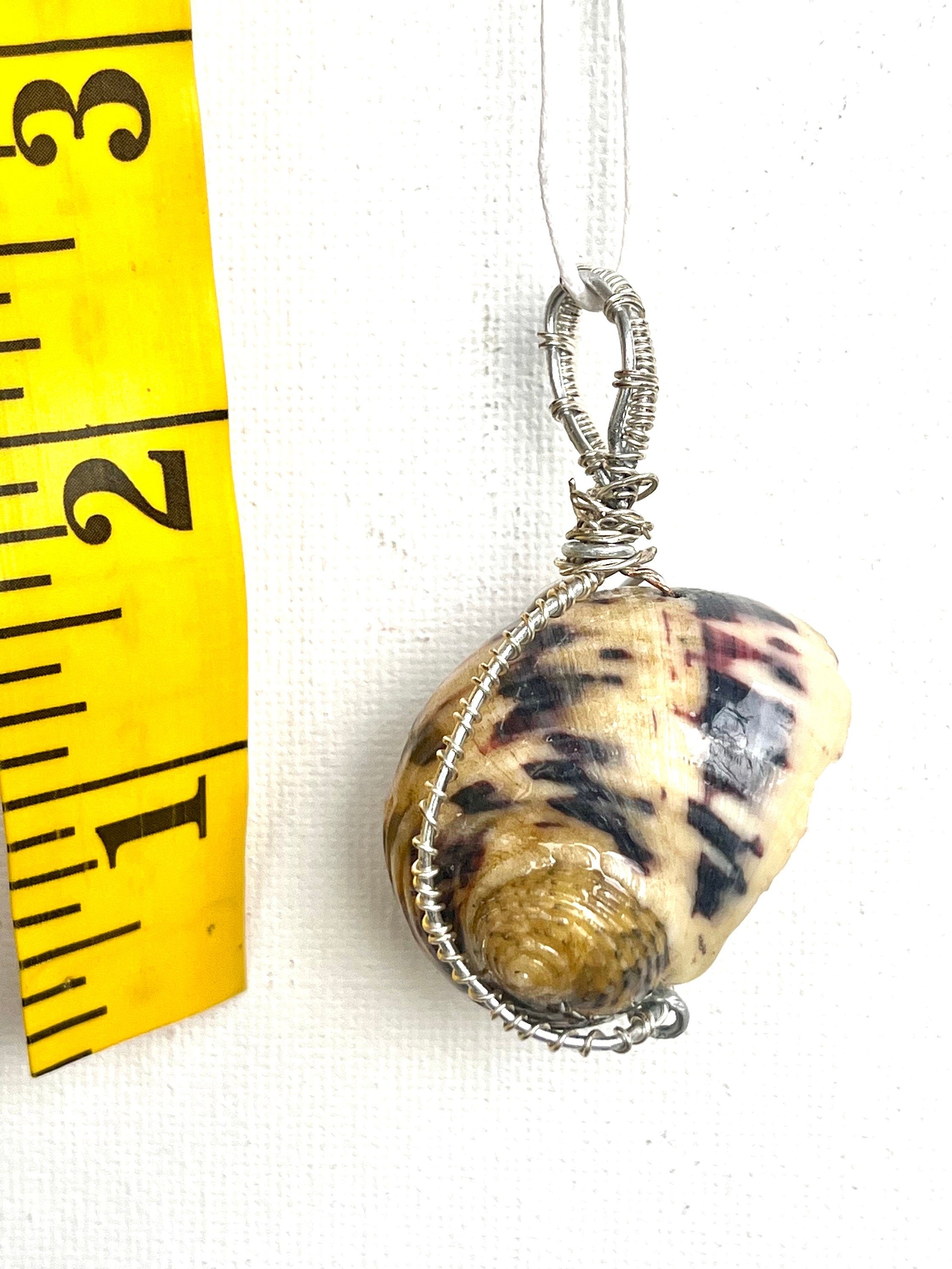 Wire Wrapped Shell Necklace | Turban Seashell Pendant