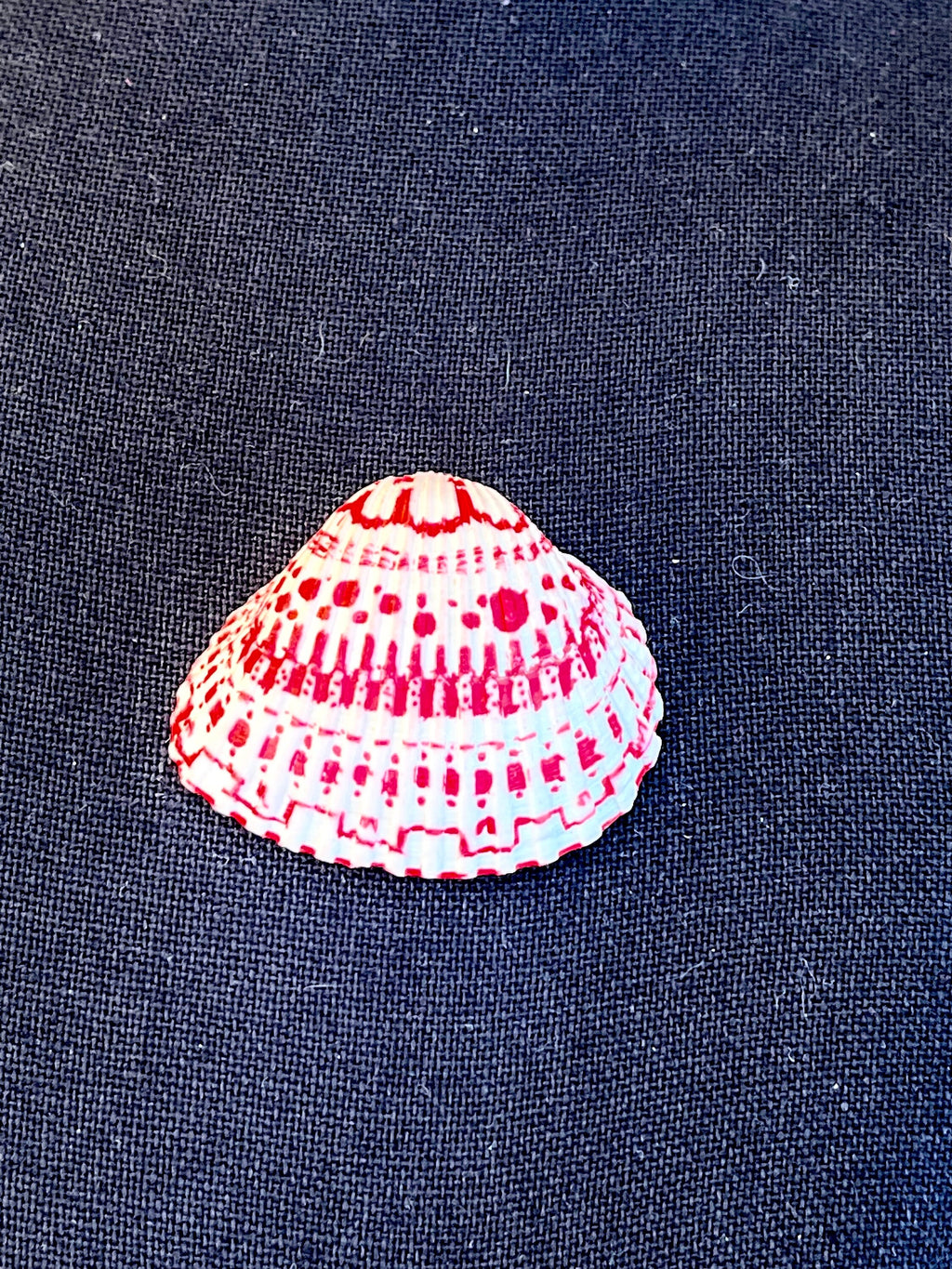 Decorated Shell Necklace | Hand Drawn Red Seashell Pendant