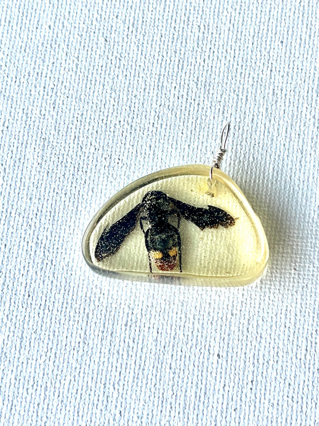 Bee in Resin Pendant Necklace, Nature Inspired Jewelry, Blue Winged Wasp in Resin Pendant, Gift for Bee Lover, Beekeeper