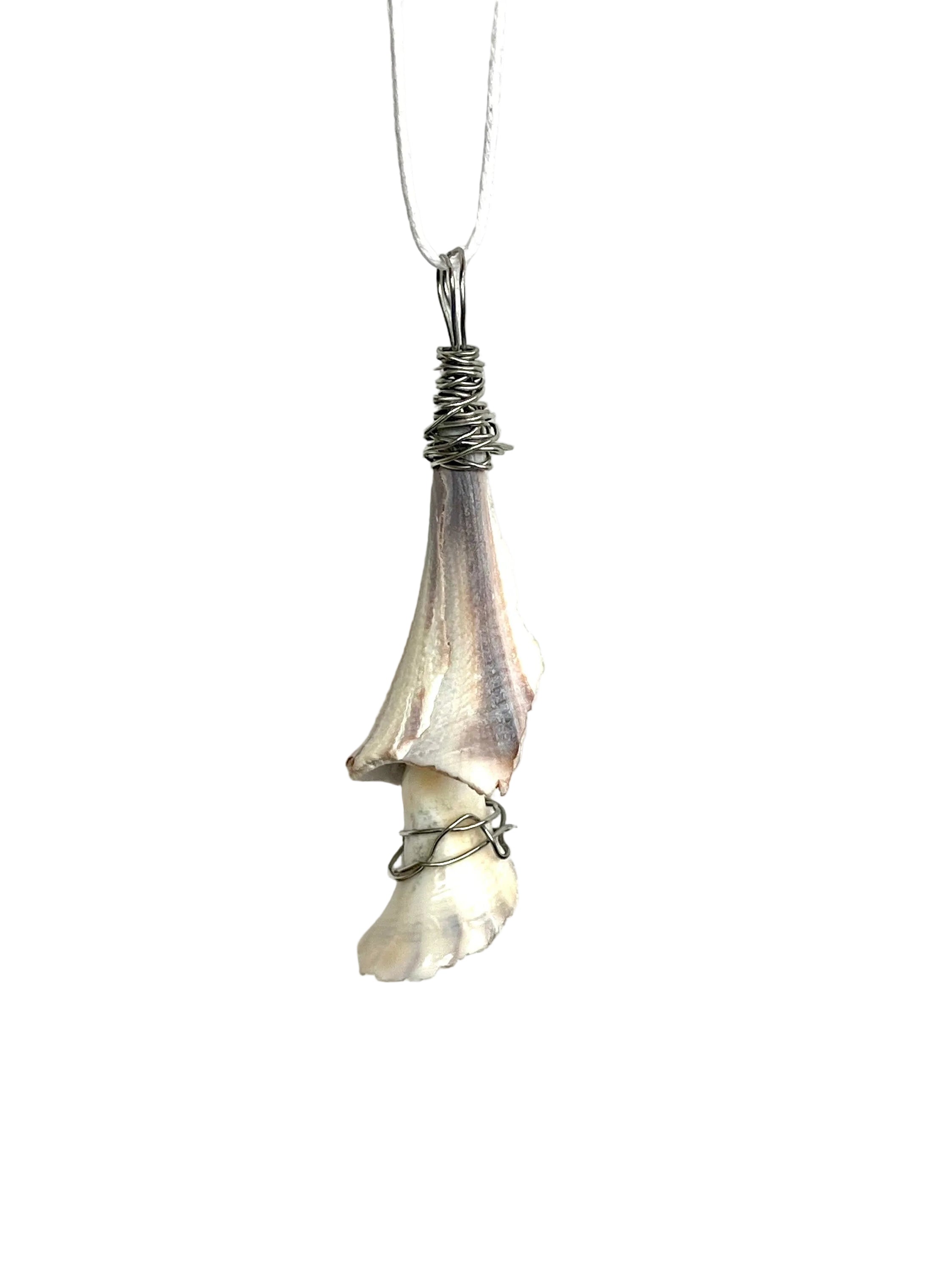 Shell pendant necklace on a white background