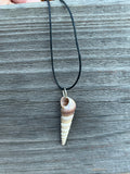 Seashell Necklace | Resin Coated Auger Shell Pendant