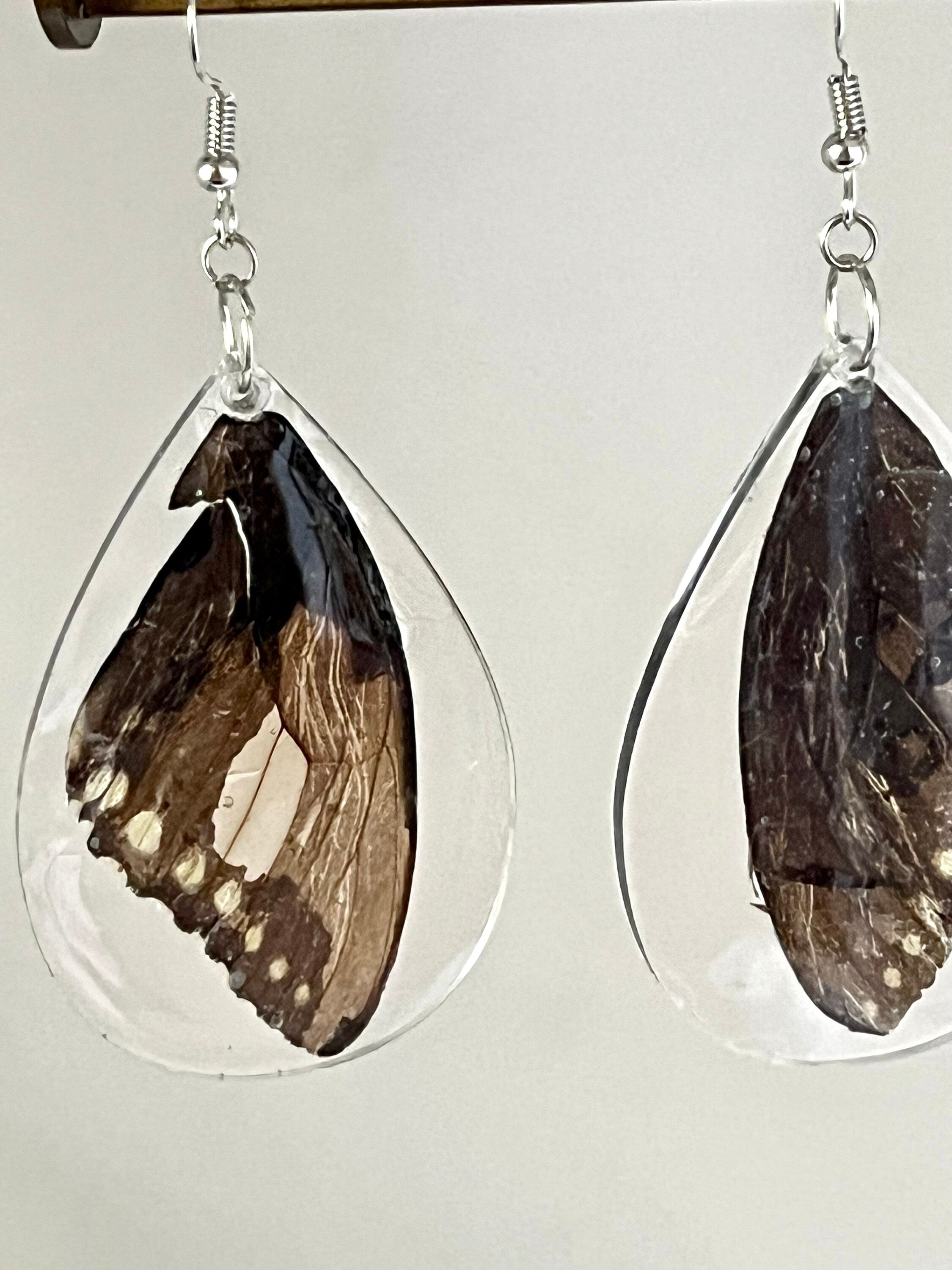 Butterfly Wing Earrings, Butterfly Wings in Resin Accessories, Real Swallowtail Butterfly Wing Jewelry, Unique Cottage Core Gift for Her