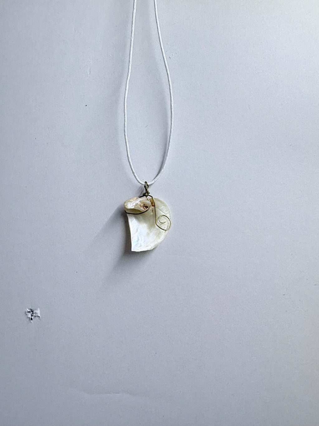 Shell Necklace | Minimal Coastal Jewelry | Delicate Ocean Inspired Pendant