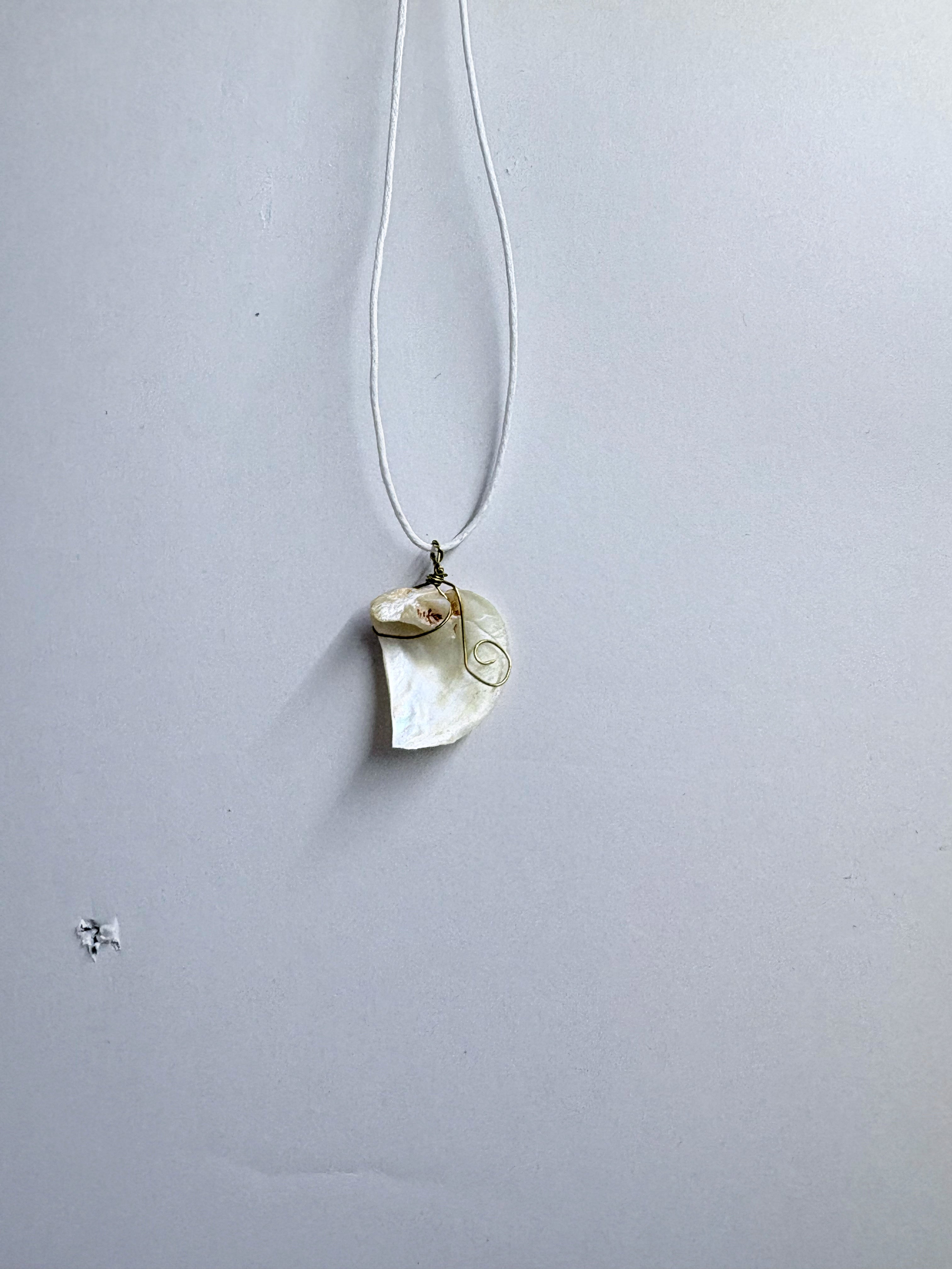 Shell Necklace | Minimal Coastal Jewelry | Delicate Ocean Inspired Pendant