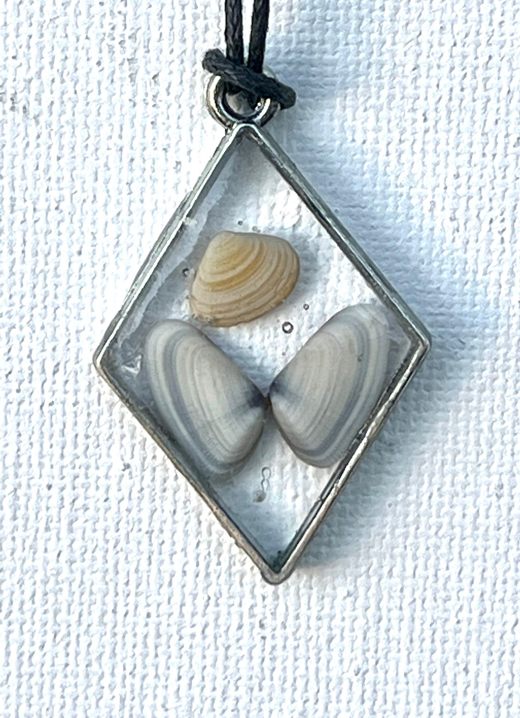 Oyster Shells in Resin Pendant | Butterfly Seashell Necklace