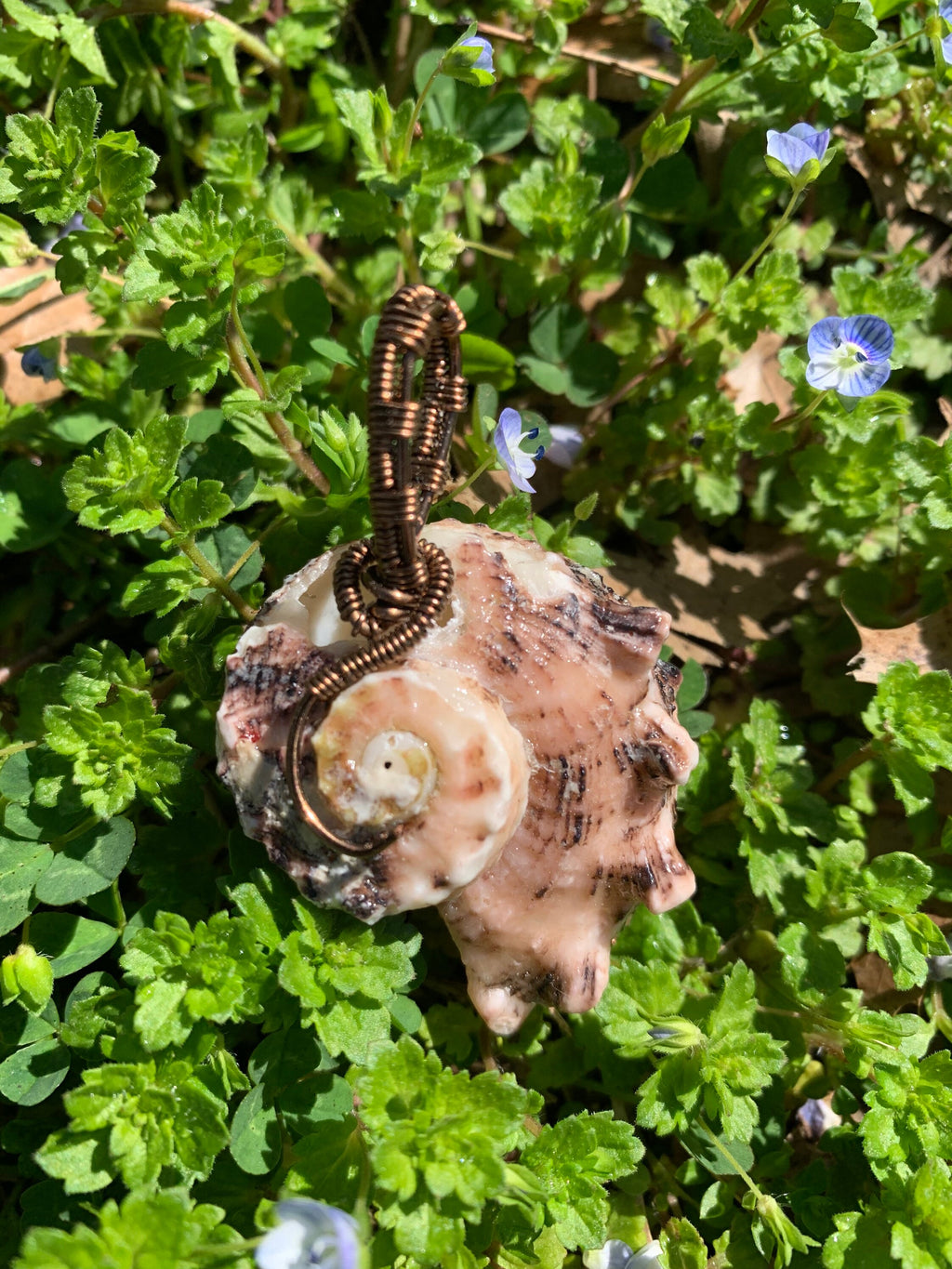Wire Wrapped Natural Shell Pendant, Spiral Shell with Simple Wire Wrap, Ariel / Little Mermaid Pendant, Beach Jewelry