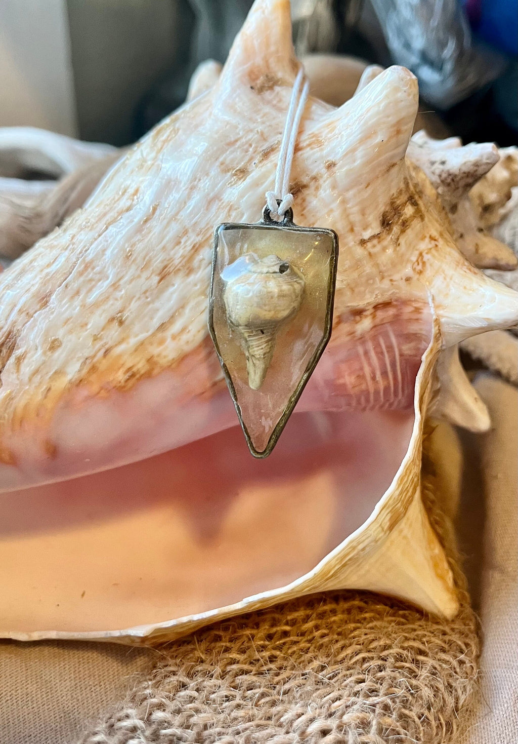 Authentic Seashell Resin Pentagonal Frame Necklace