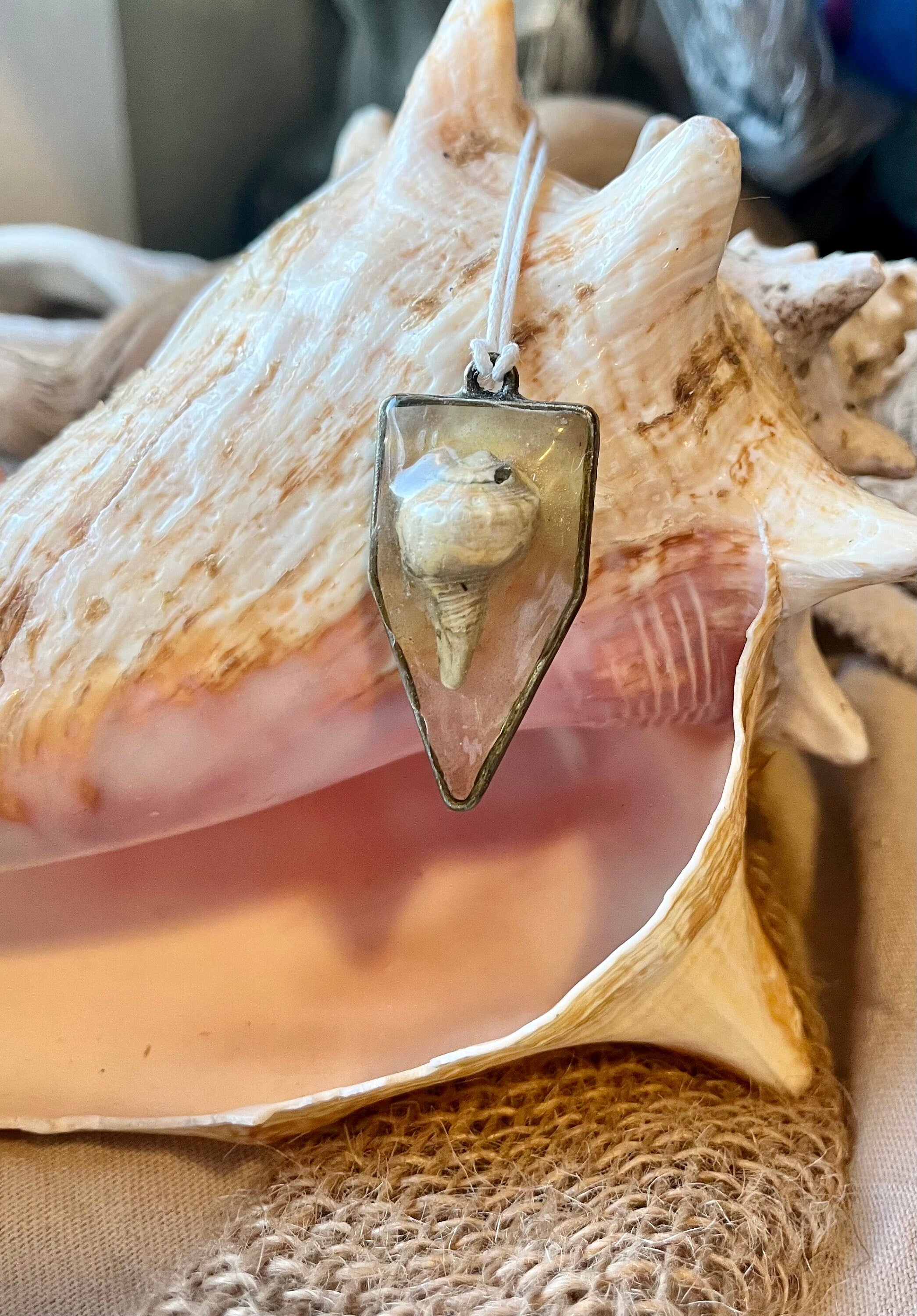 Authentic Seashell Resin Pentagonal Frame Necklace