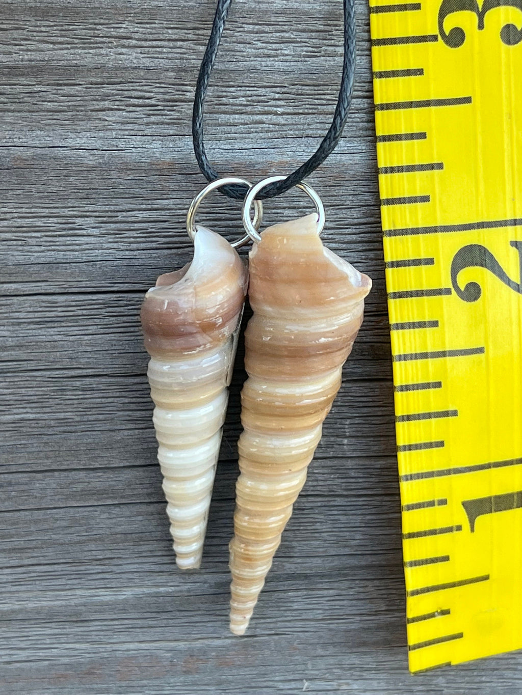 Seashell Necklace | Resin Coated Auger Shell Pendant