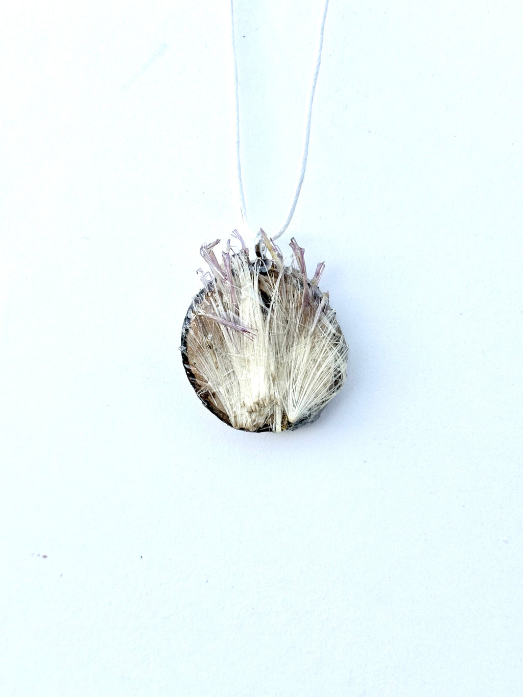Thistle Wood Slice Pendant | Thistle in the Wild