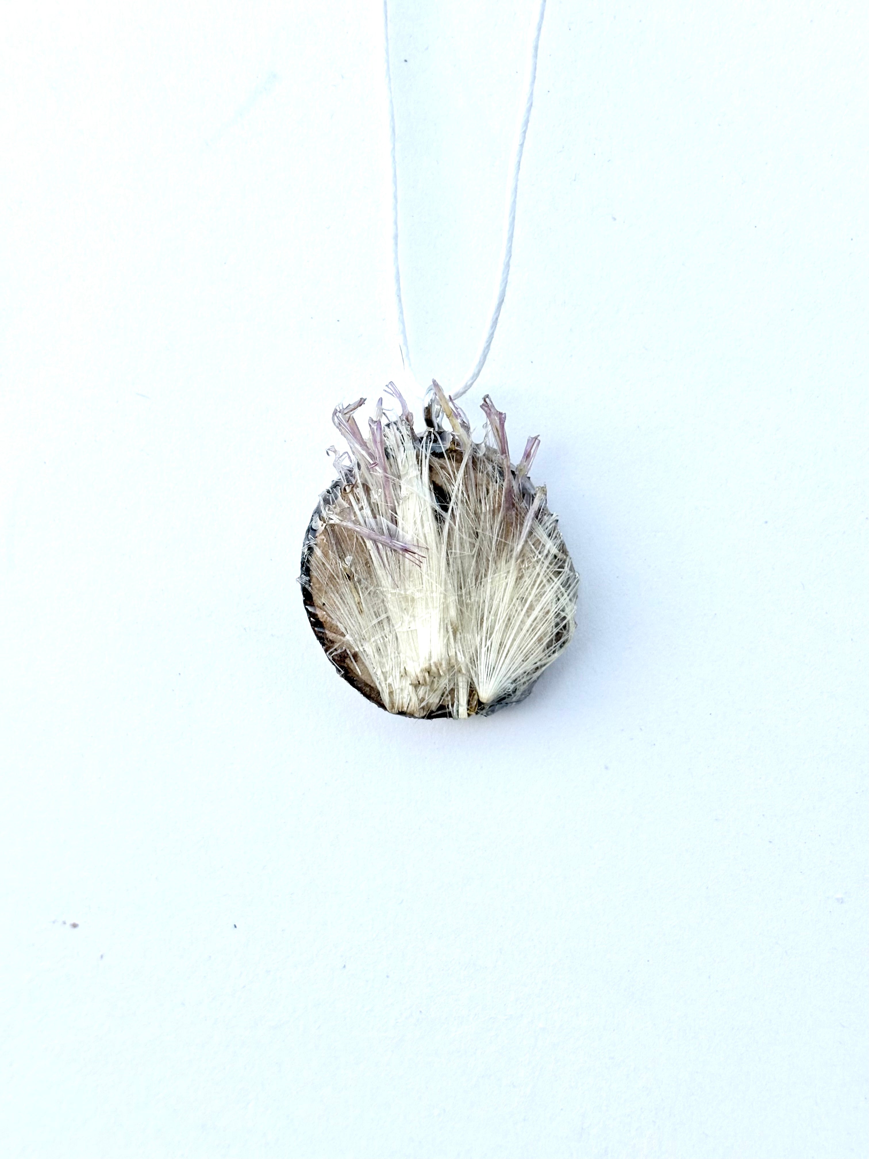 Thistle Wood Slice Pendant | Thistle in the Wild