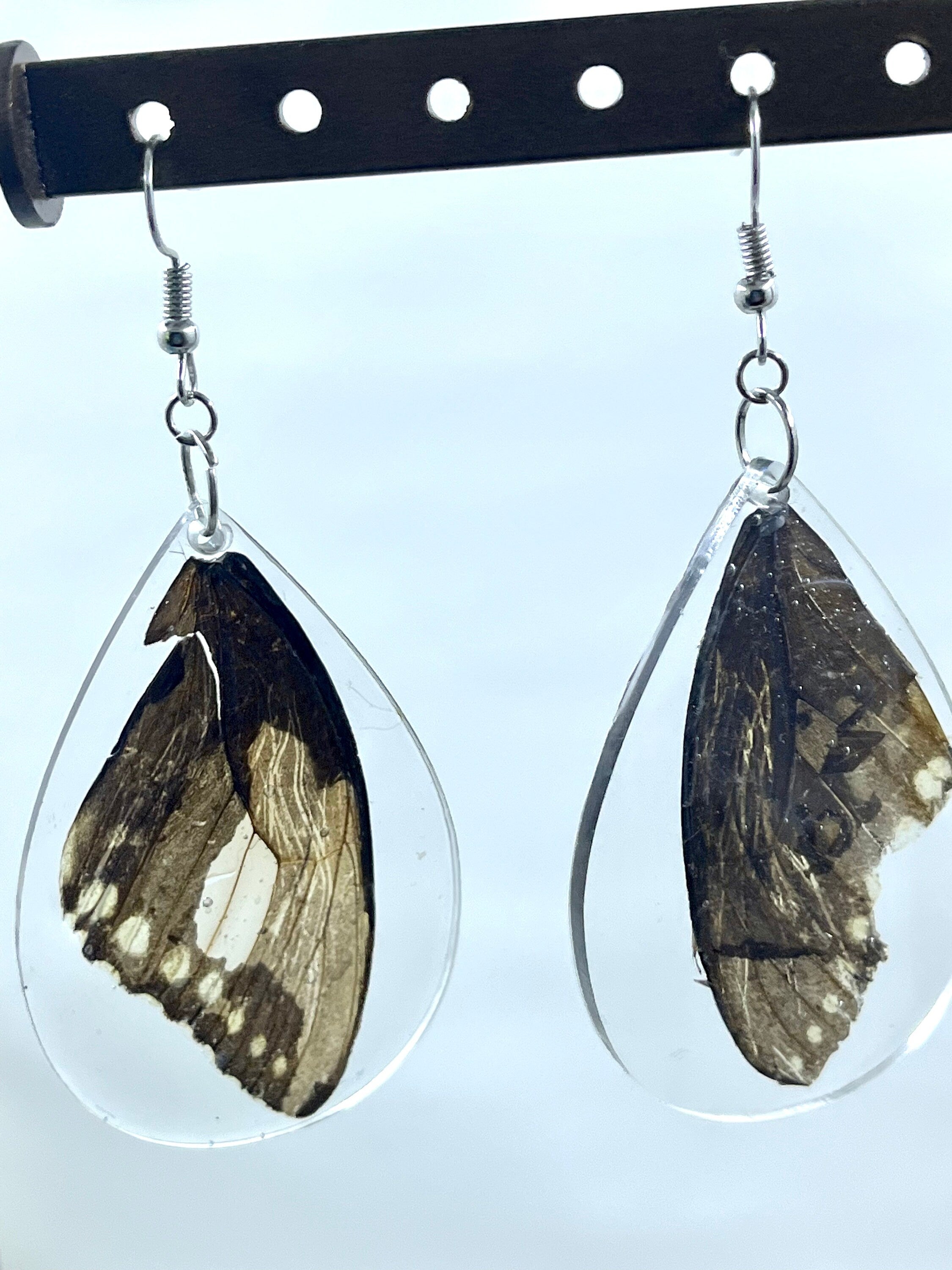Butterfly Wing Earrings, Butterfly Wings in Resin Accessories, Real Swallowtail Butterfly Wing Jewelry, Unique Cottage Core Gift for Her