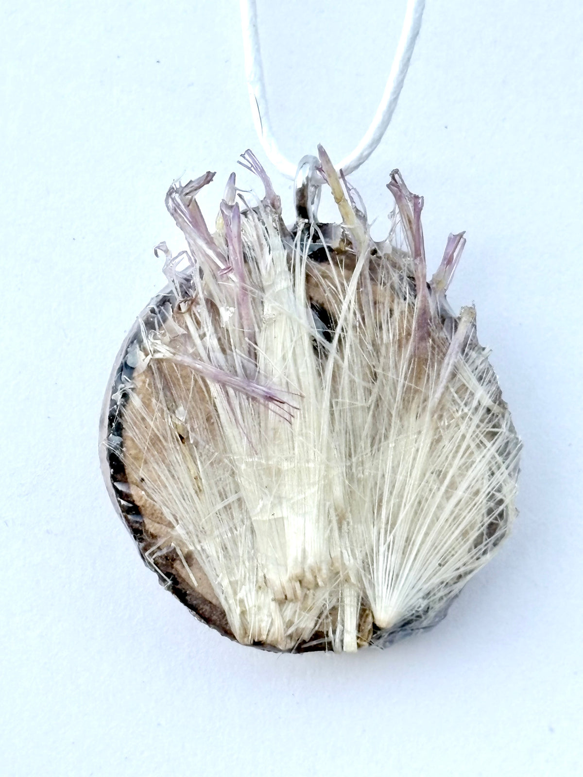 Thistle Wood Slice Pendant | Thistle in the Wild