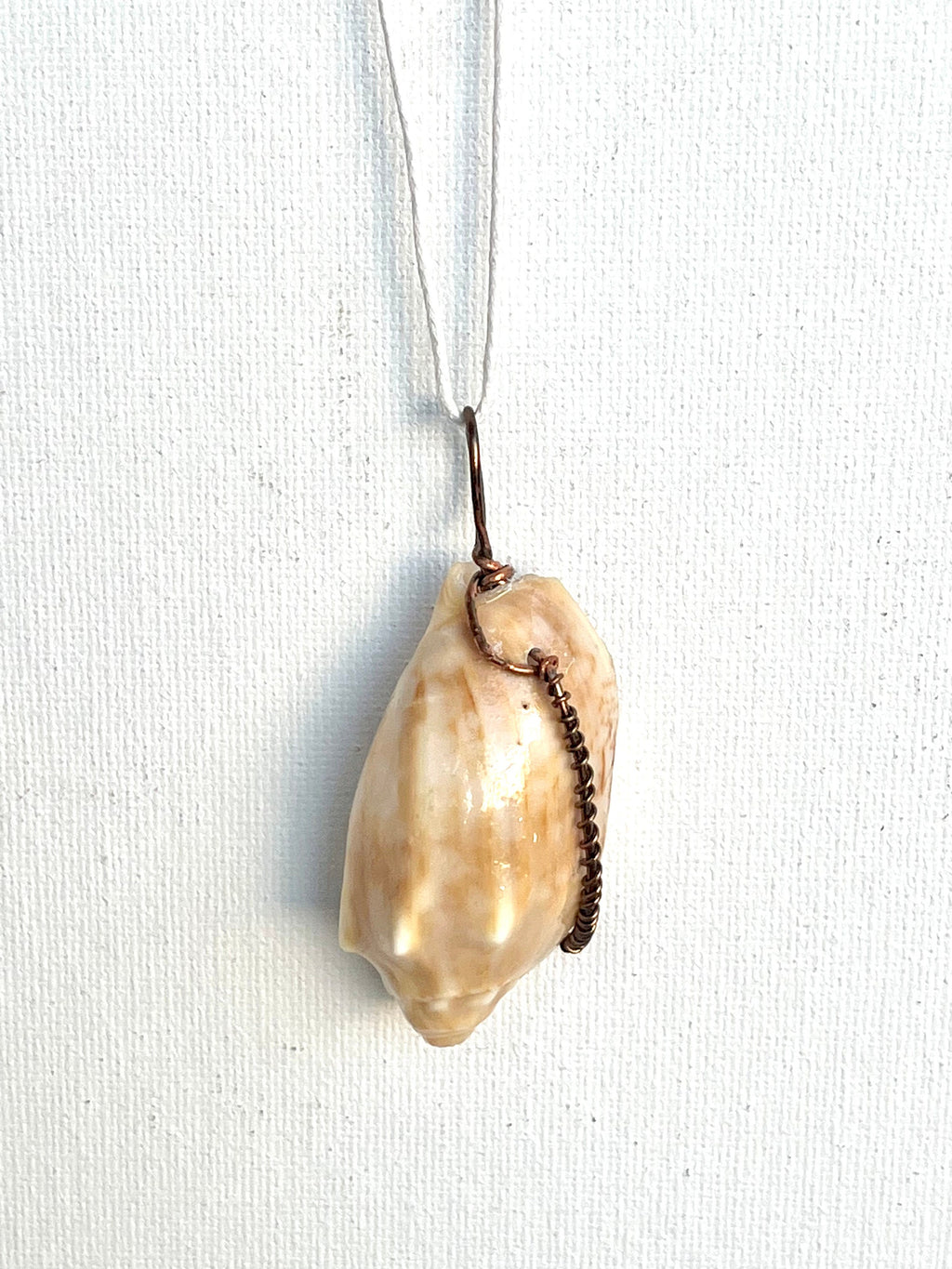 Wire Wrapped Orange Shell Pendant, One of a Kind Simple Wire Wrap Seashell Necklace, Beach Lover's Dream, Bronze Wire Wrap Authentic Shell