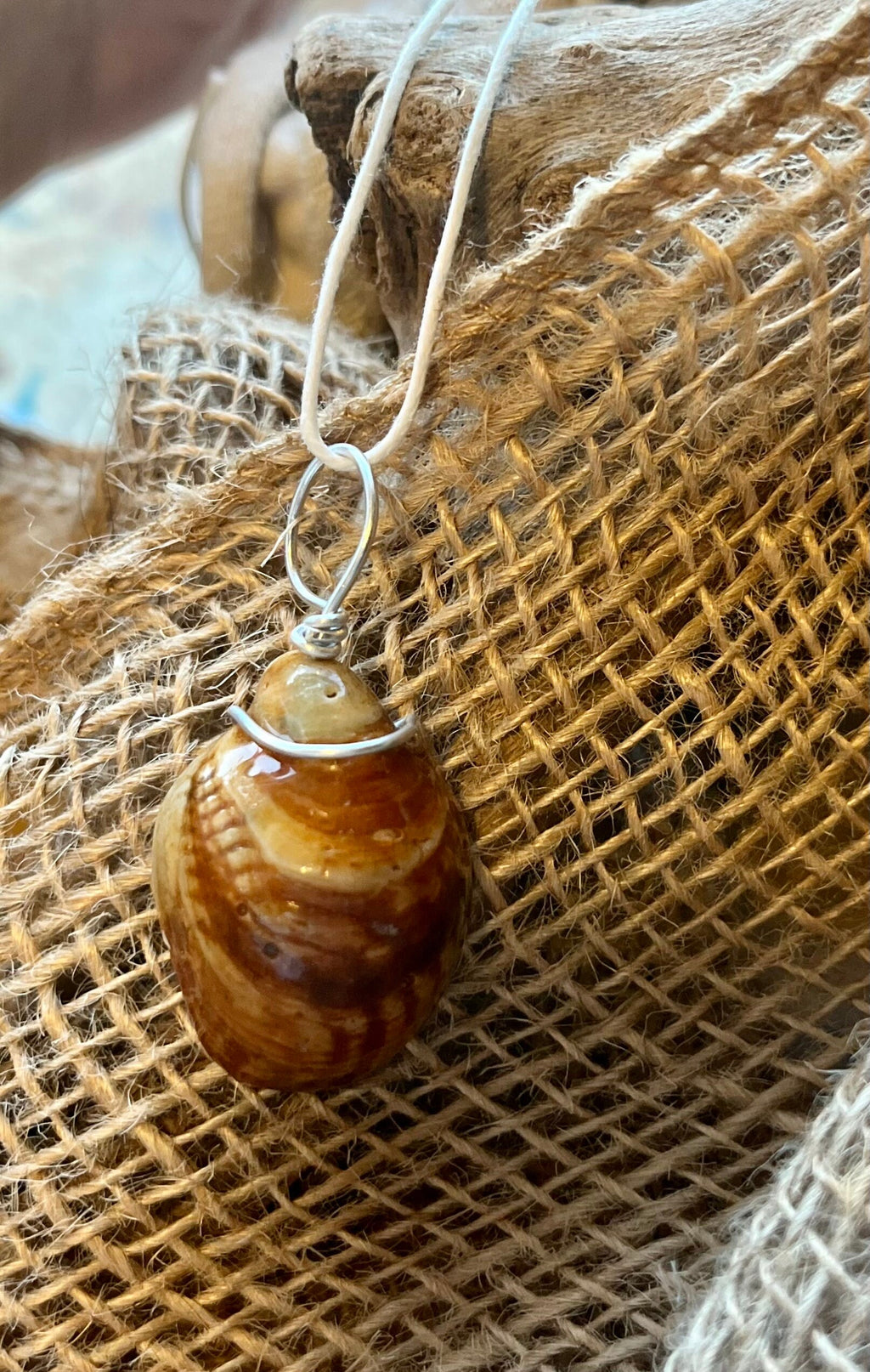 Wire Wrapped Slipper Shell Pendant, Resin Seashell Jewelry, Ocean Inspired Necklace, Beach Jewelry, Gift for Beach Lover