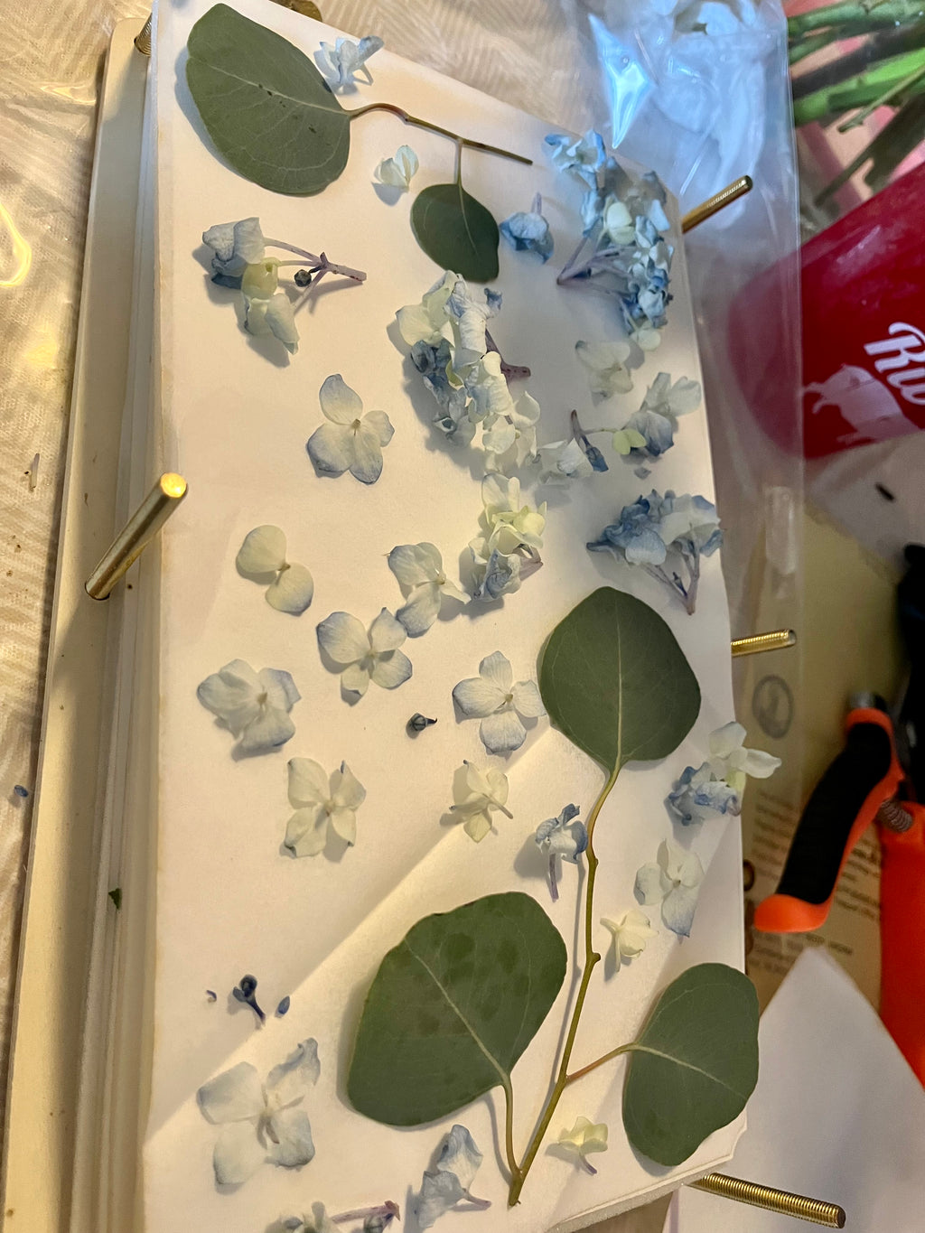 Flower Preservation Service
