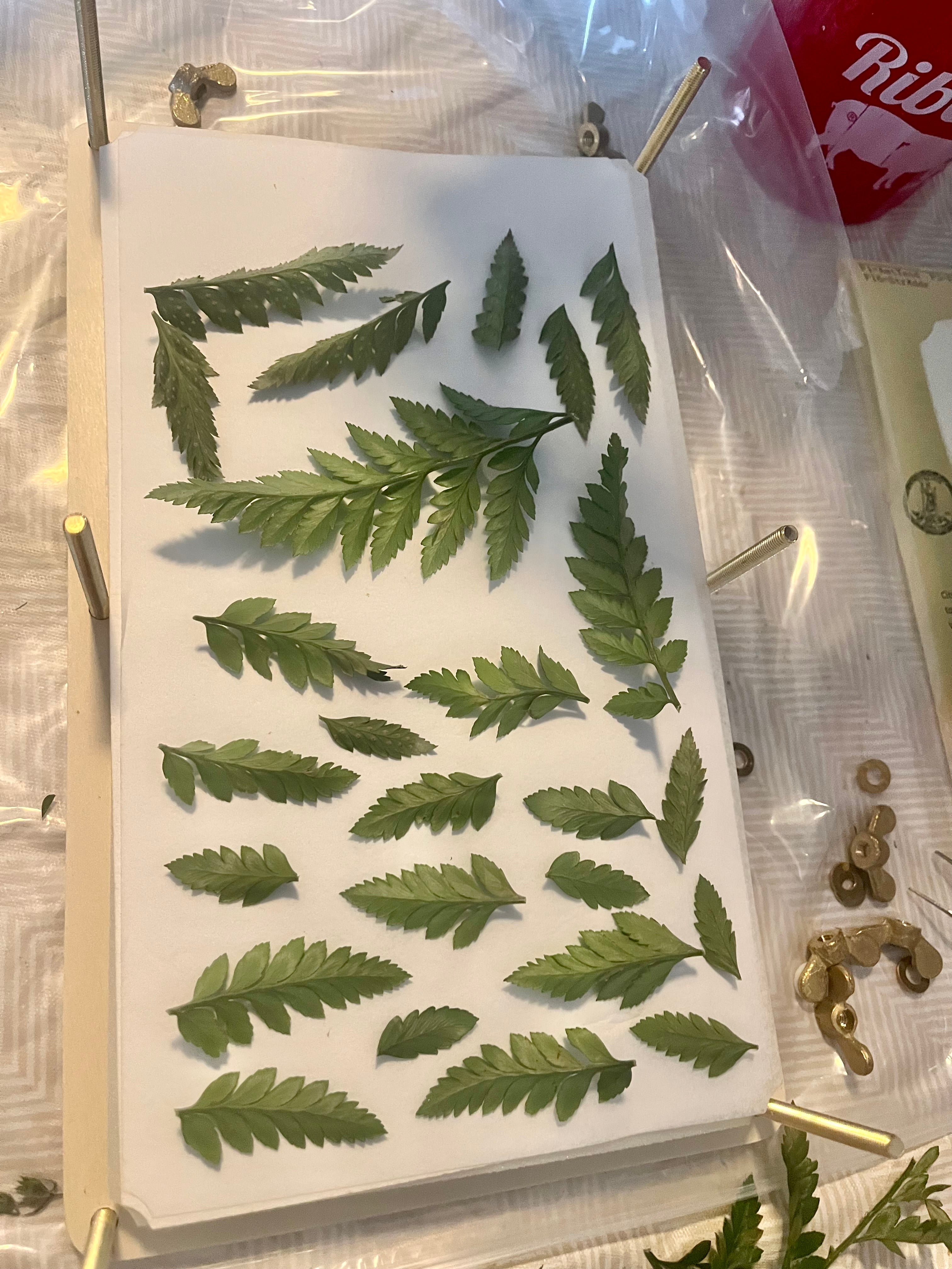 Flower Preservation Service