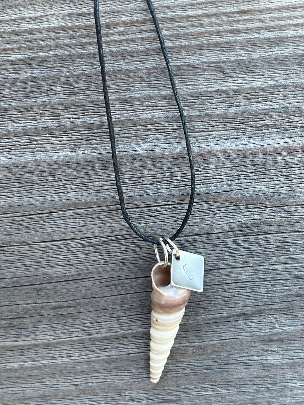 Seashell Necklace | Resin Coated Auger Shell Pendant