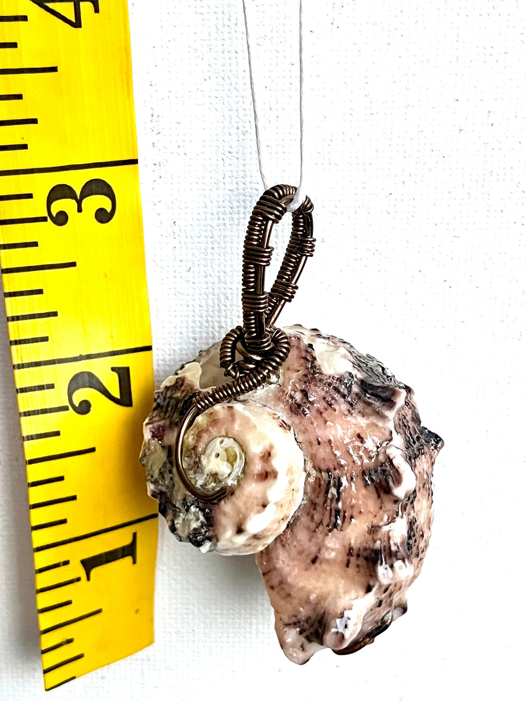 Wire Wrapped Natural Shell Pendant, Spiral Shell with Simple Wire Wrap, Ariel / Little Mermaid Pendant, Beach Jewelry