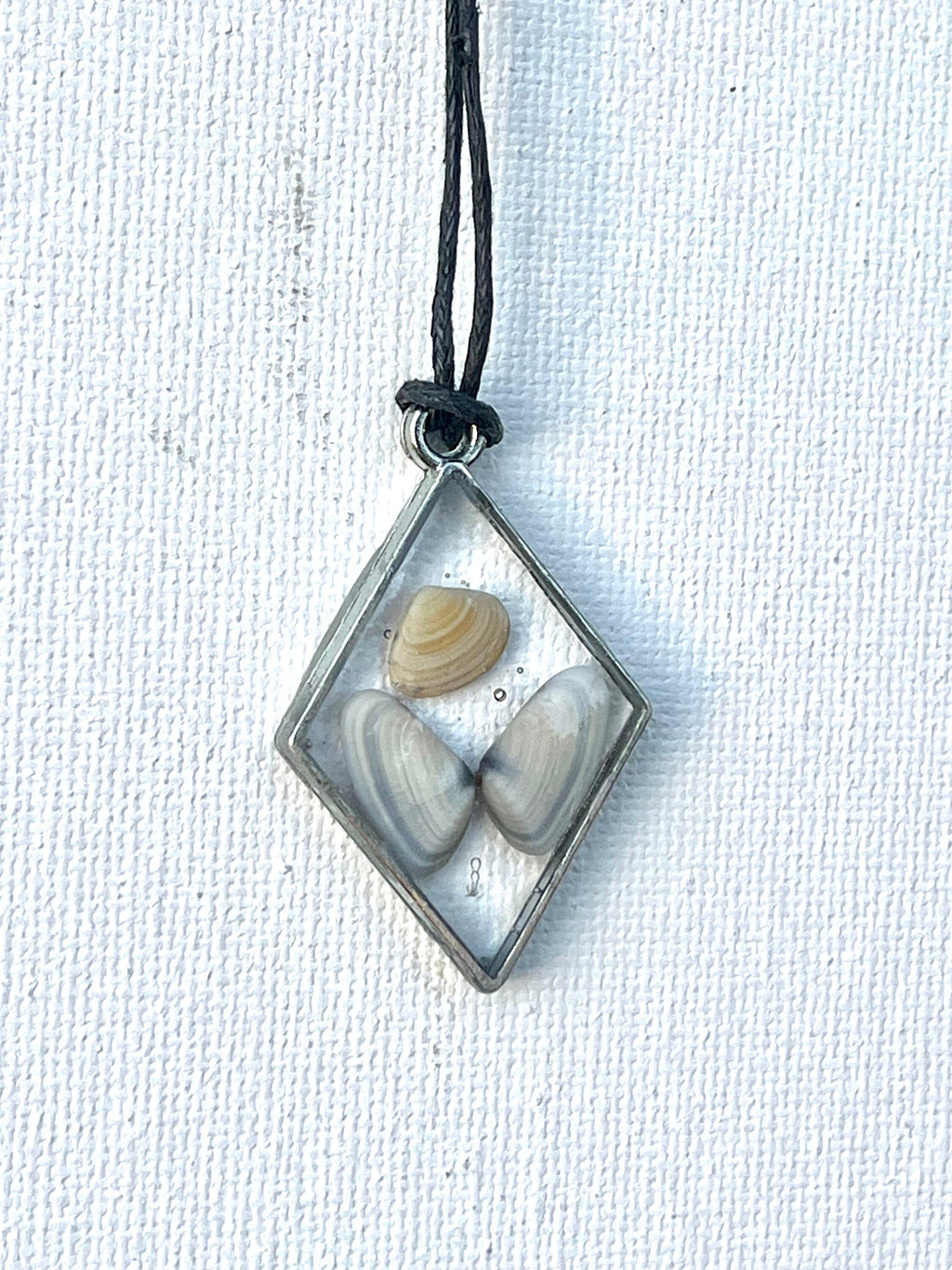 Oyster Shells in Resin Pendant | Butterfly Seashell Necklace