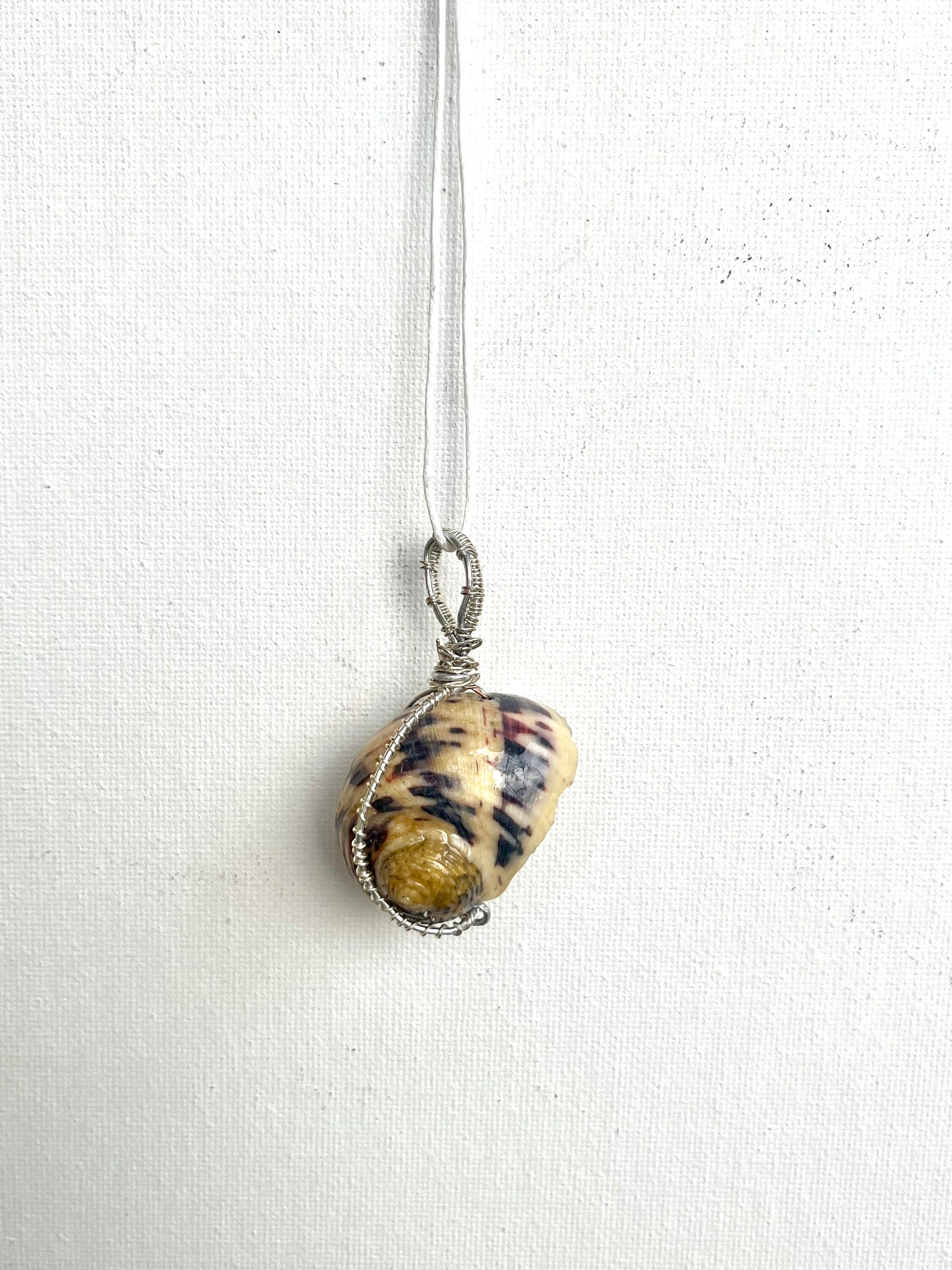 Wire Wrapped Shell Necklace | Turban Seashell Pendant