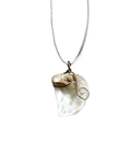 Shell Necklace | Minimal Coastal Jewelry | Delicate Ocean Inspired Pendant