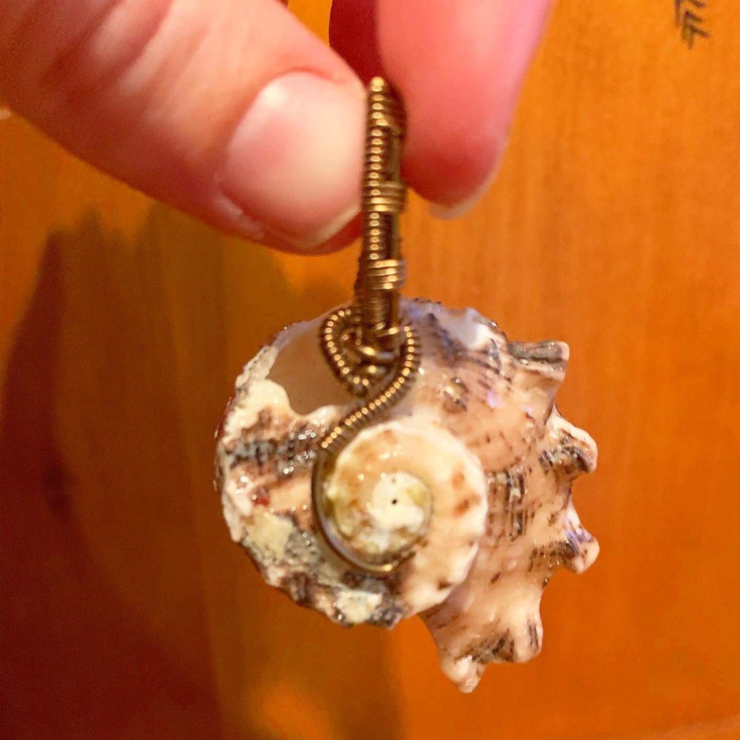 Wire Wrapped Natural Shell Pendant, Spiral Shell with Simple Wire Wrap, Ariel / Little Mermaid Pendant, Beach Jewelry