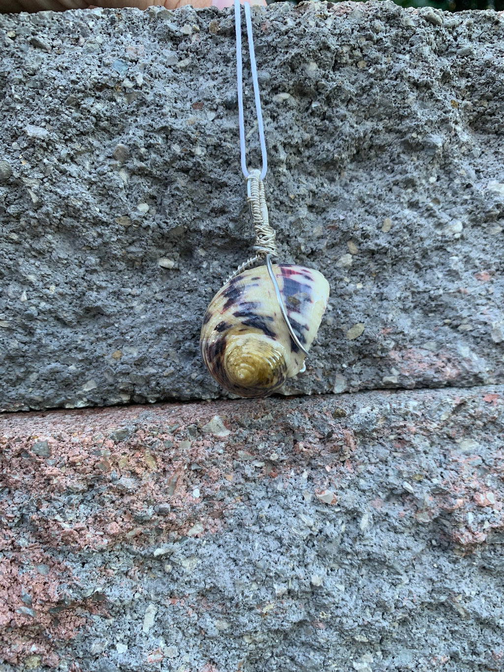 Wire Wrapped Shell Necklace | Turban Seashell Pendant
