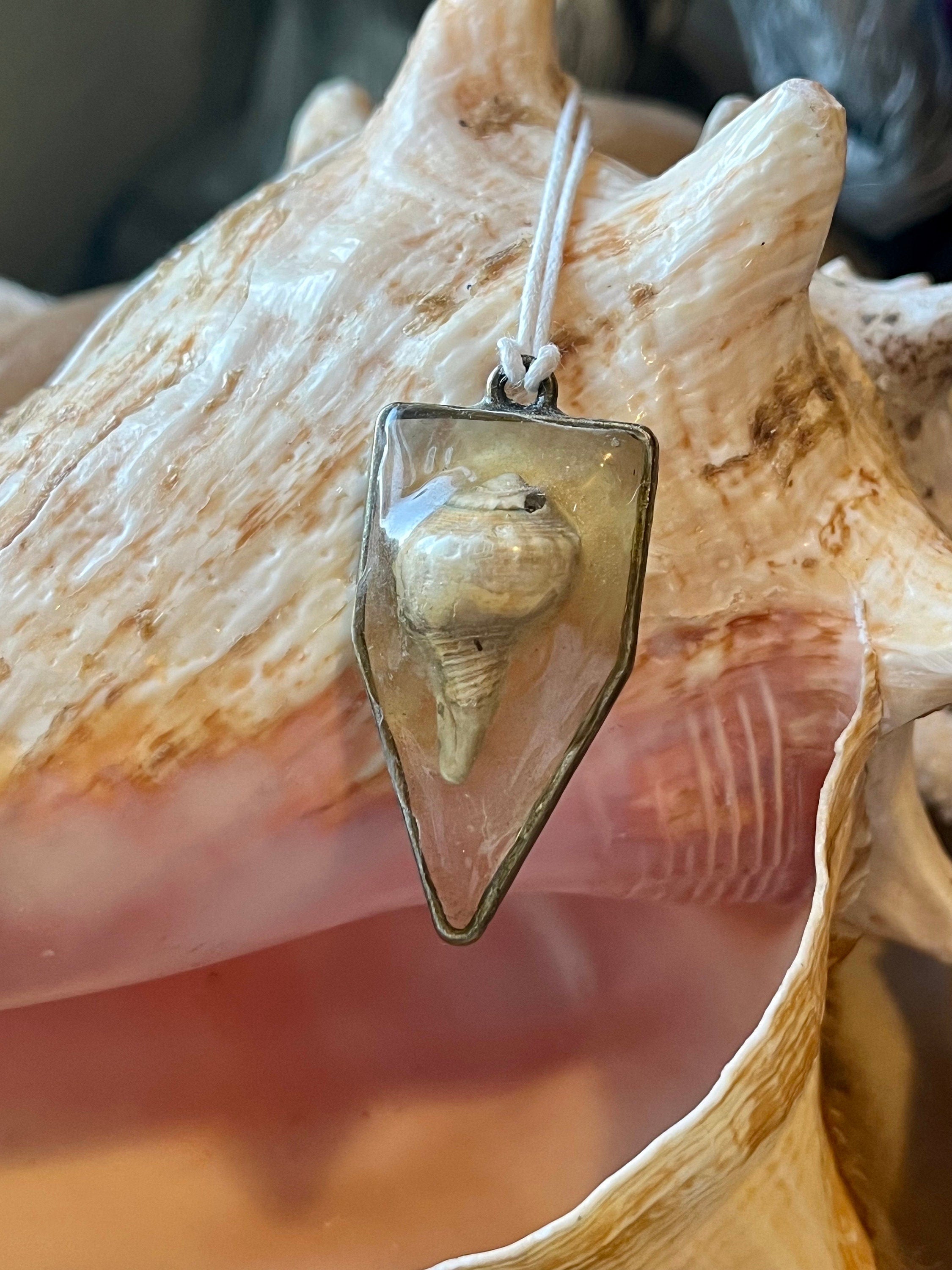 Authentic Seashell Resin Pentagonal Frame Necklace