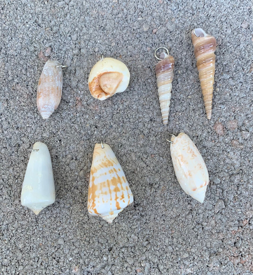 Seashell Necklace | Resin Coated Auger Shell Pendant