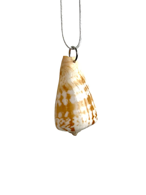Shell pendant on a white background