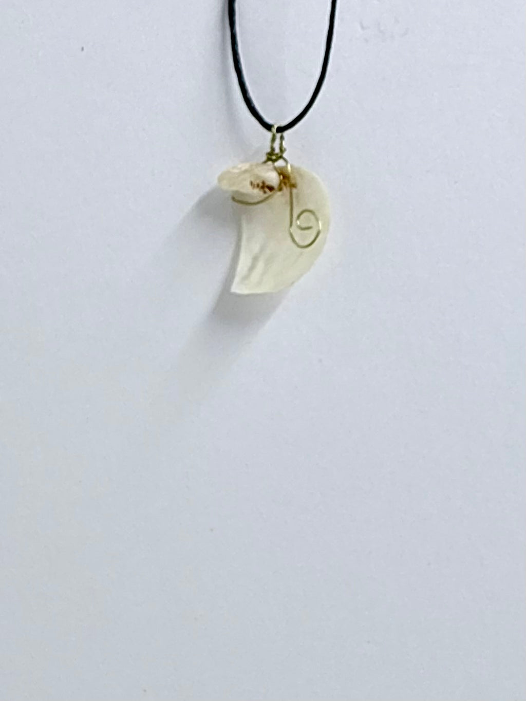 Shell Necklace | Minimal Coastal Jewelry | Delicate Ocean Inspired Pendant