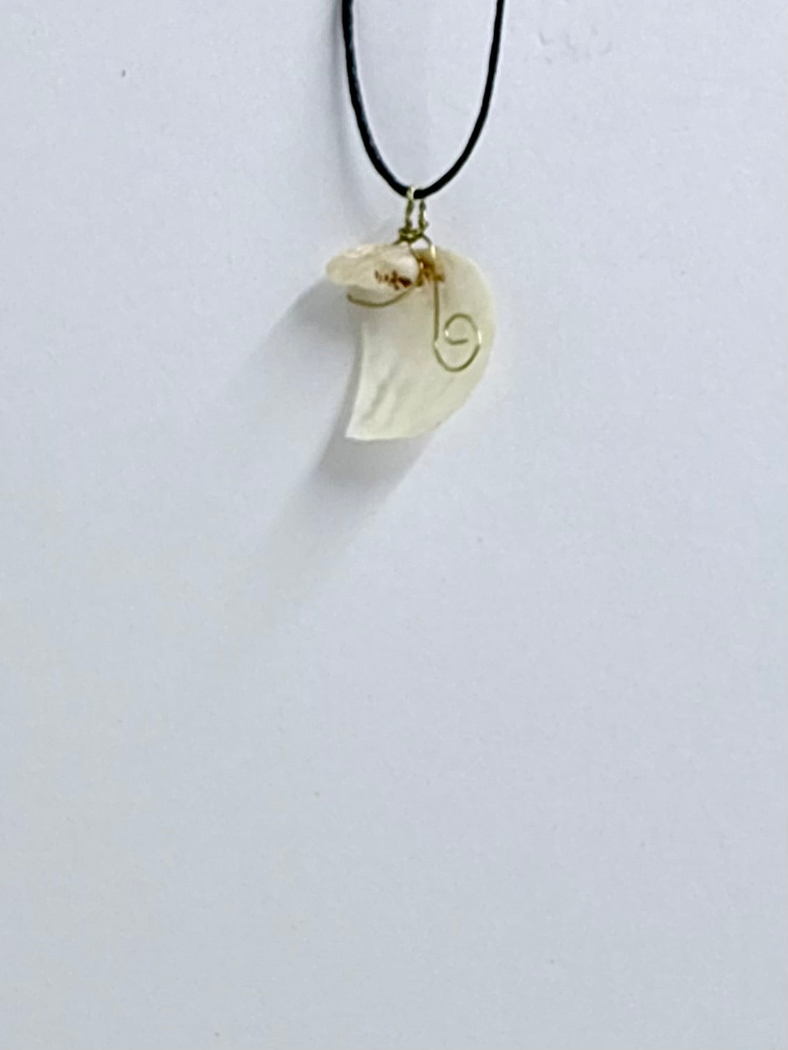 Shell Necklace | Minimal Coastal Jewelry | Delicate Ocean Inspired Pendant