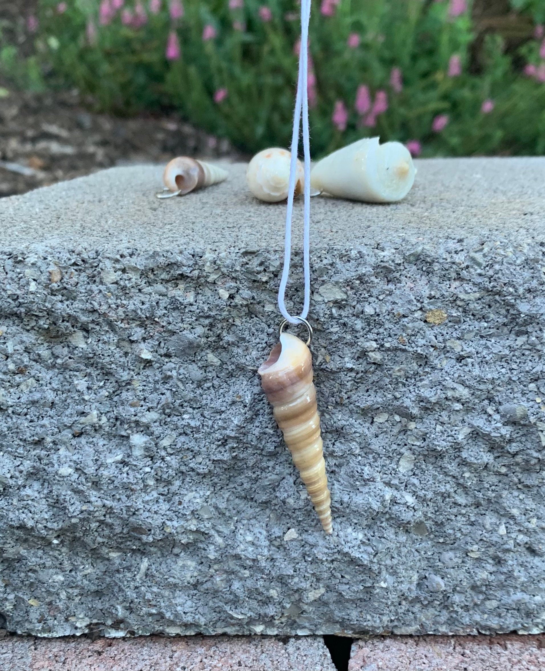 Simple Auger Necklace, Resin Coated Genuine Seashell Jewelry, Beach Inspired Customizable Pendants, Mermaid Necklace