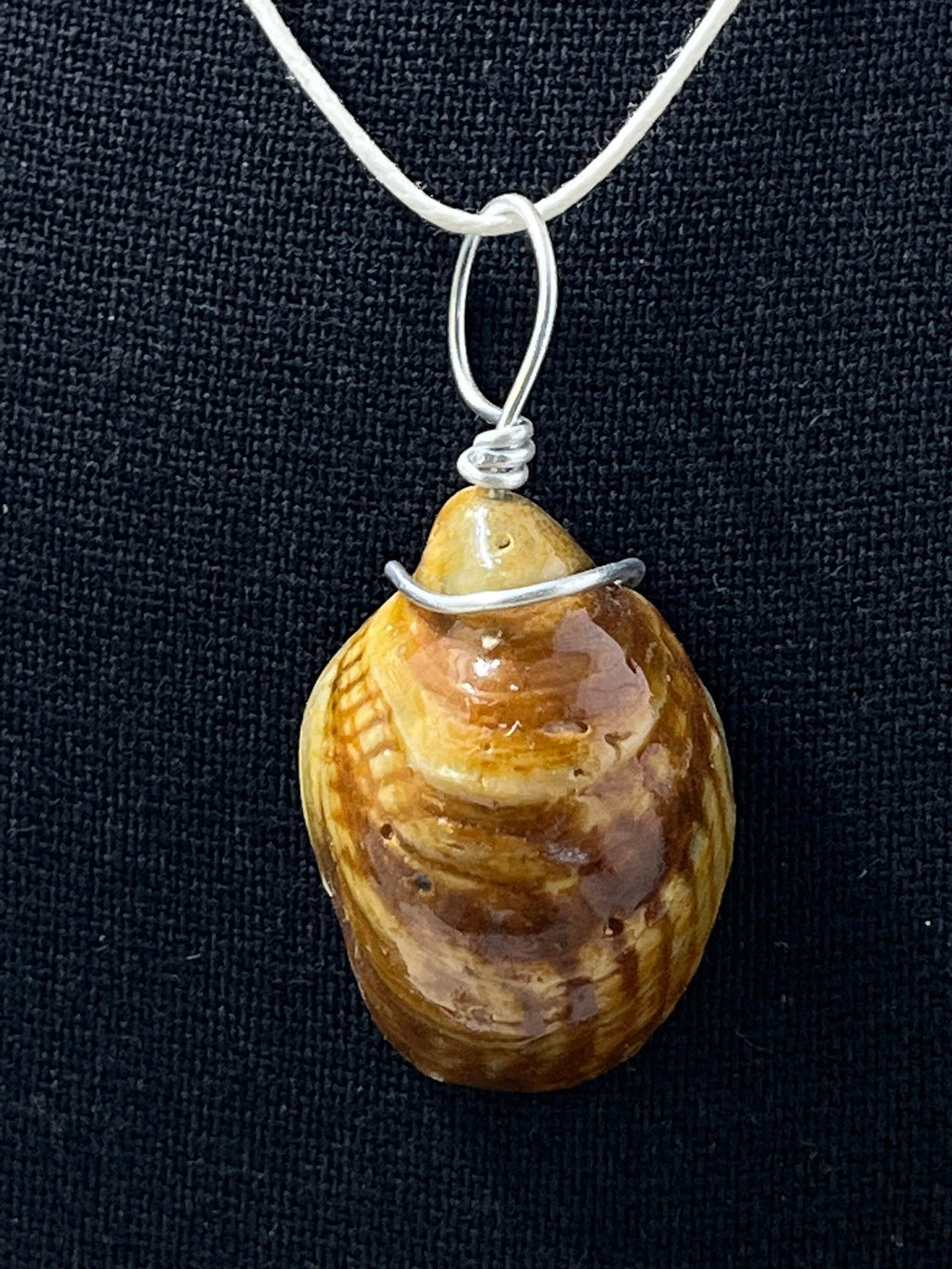 Wire Wrapped Slipper Shell Pendant, Resin Seashell Jewelry, Ocean Inspired Necklace, Beach Jewelry, Gift for Beach Lover