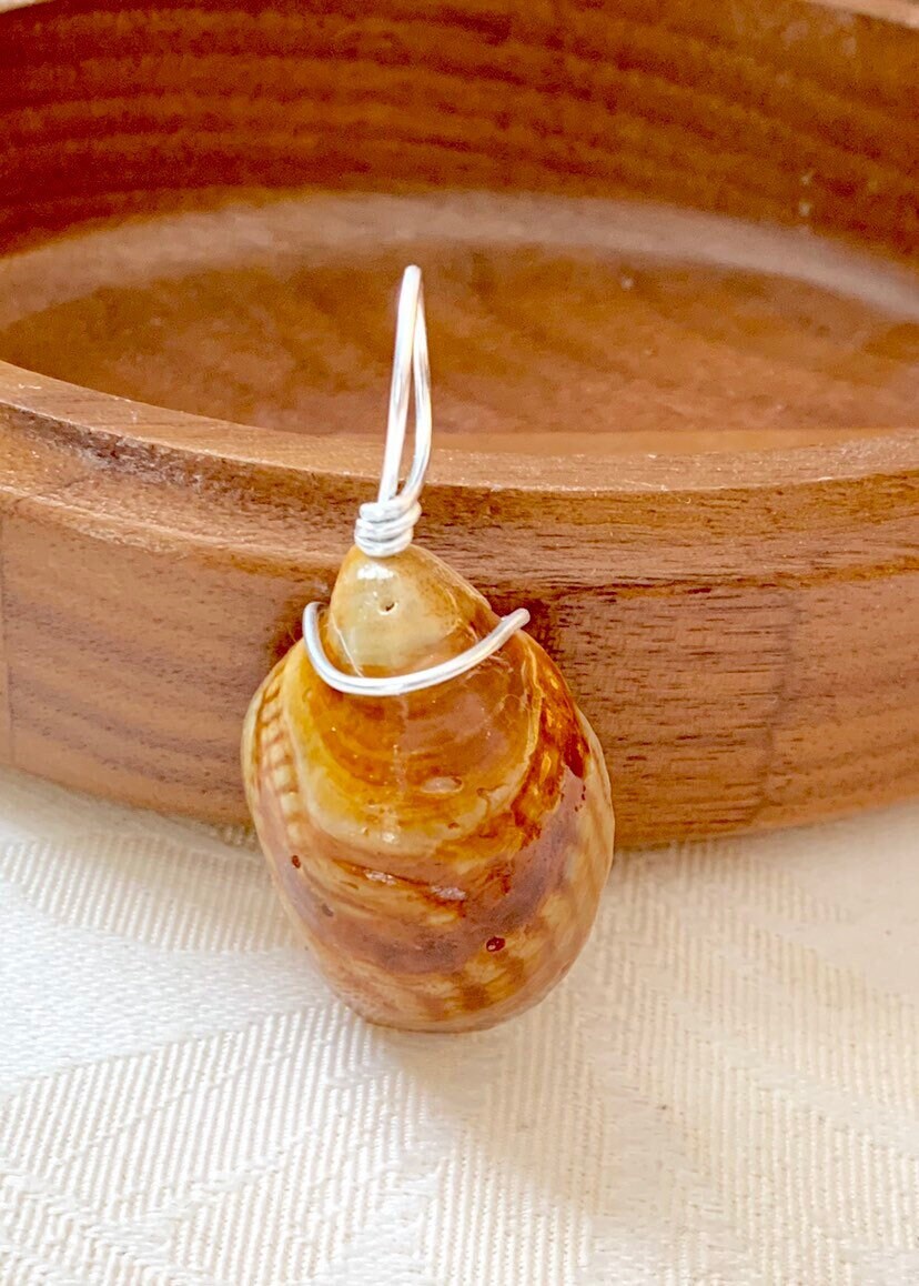 Wire Wrapped Slipper Shell Pendant, Resin Seashell Jewelry, Ocean Inspired Necklace, Beach Jewelry, Gift for Beach Lover