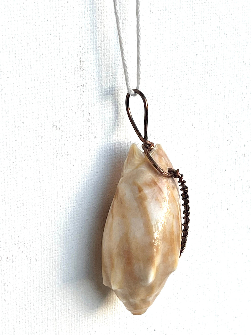 Wire Wrapped Orange Shell Pendant, One of a Kind Simple Wire Wrap Seashell Necklace, Beach Lover's Dream, Bronze Wire Wrap Authentic Shell