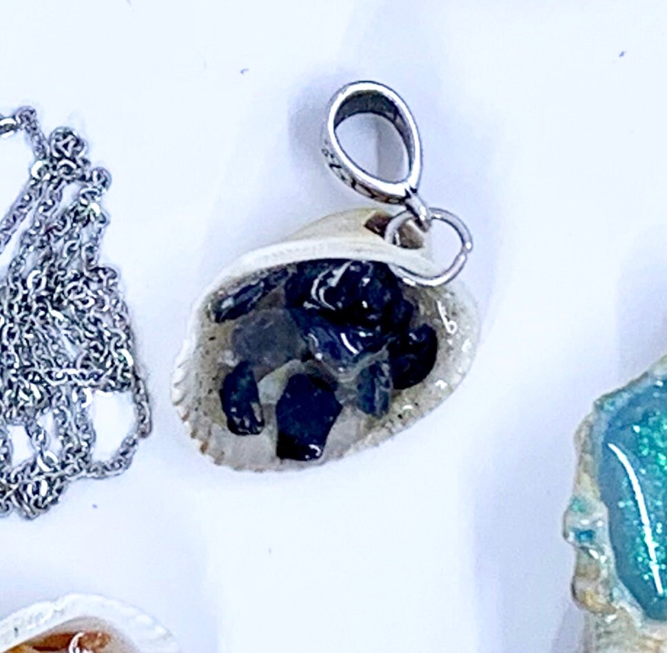 Seashell and Resin Pendant | Seashell Jewelry