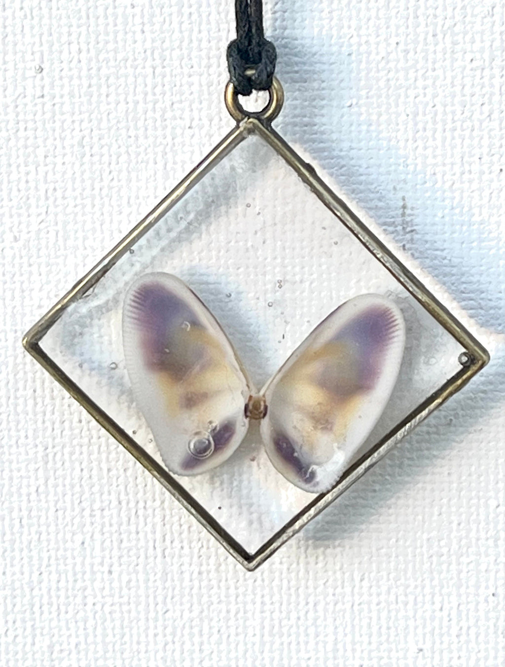 Oyster Shells in Resin Necklace | Butterfly Seashell Pendant