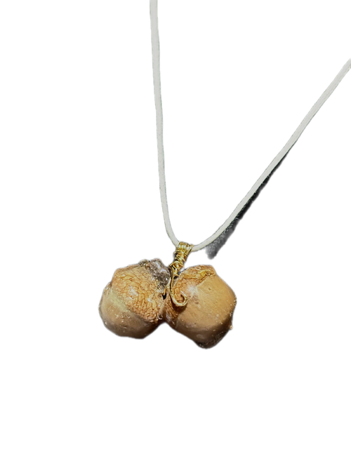 Acorn Treasure Pendant | Woodland Acorn in Resin Necklace