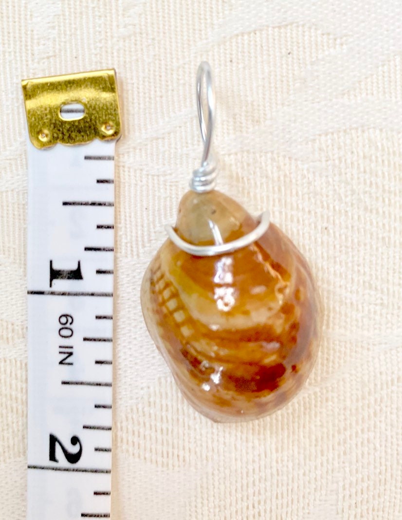 Wire Wrapped Slipper Shell Pendant, Resin Seashell Jewelry, Ocean Inspired Necklace, Beach Jewelry, Gift for Beach Lover