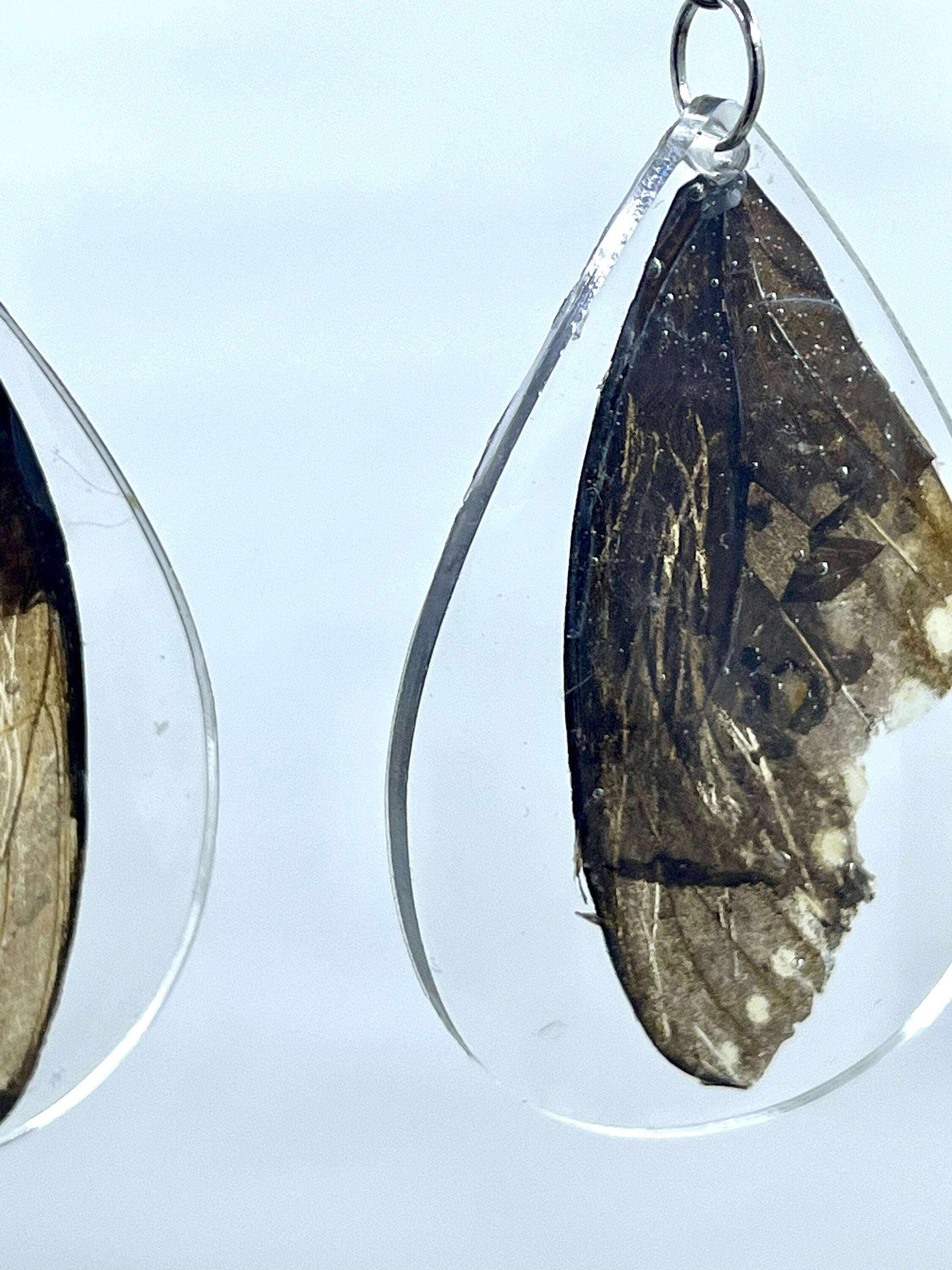Butterfly Wing Earrings, Butterfly Wings in Resin Accessories, Real Swallowtail Butterfly Wing Jewelry, Unique Cottage Core Gift for Her
