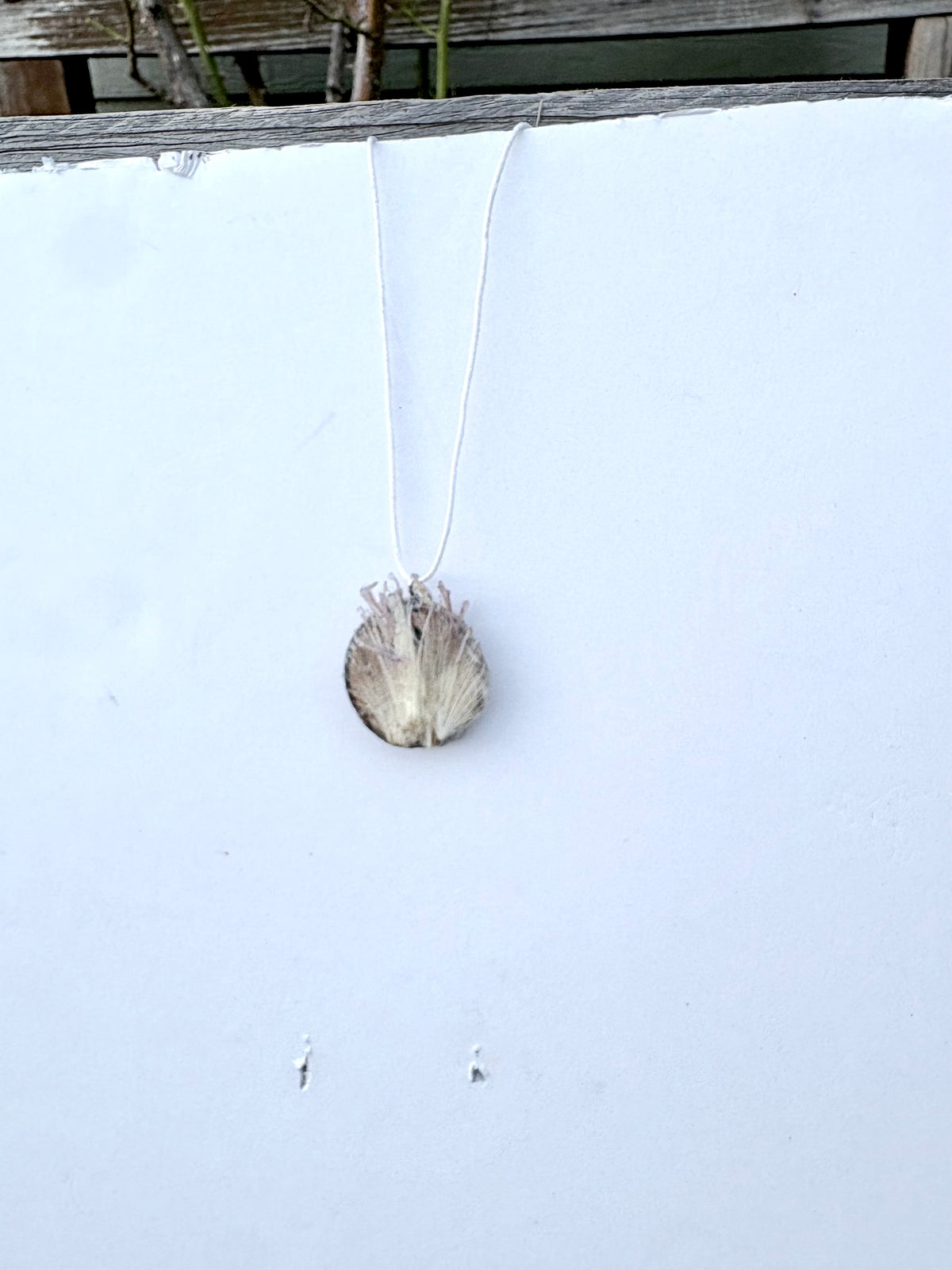 Thistle Wood Slice Pendant | Thistle in the Wild