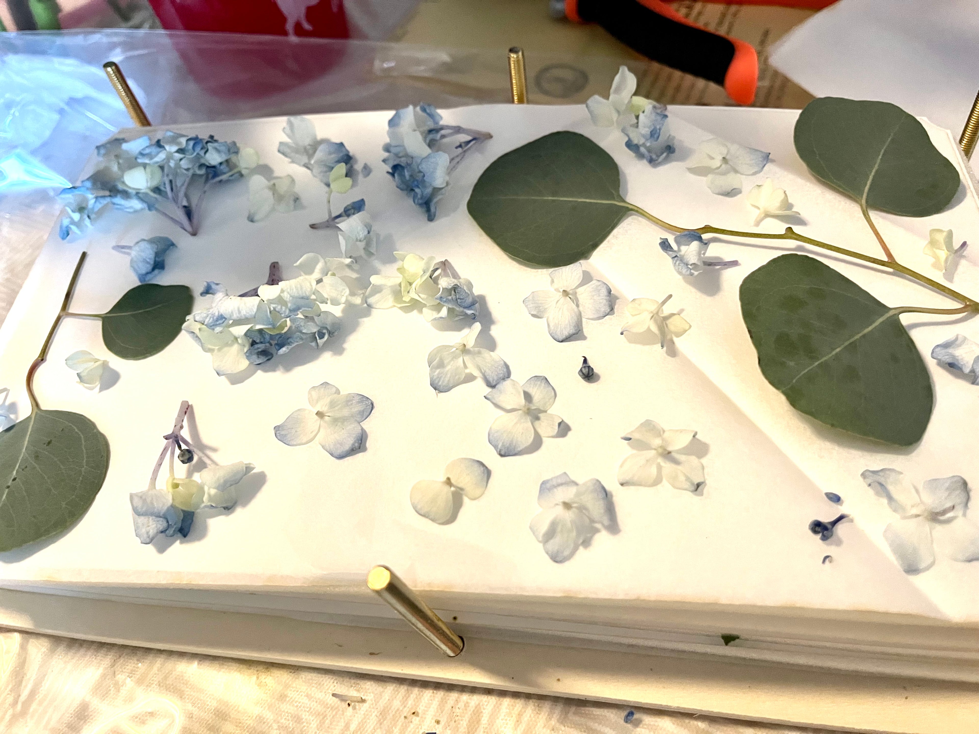 Flower Preservation Service